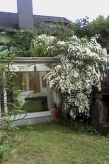 Urlaub am Feigenbaum in Nußloch