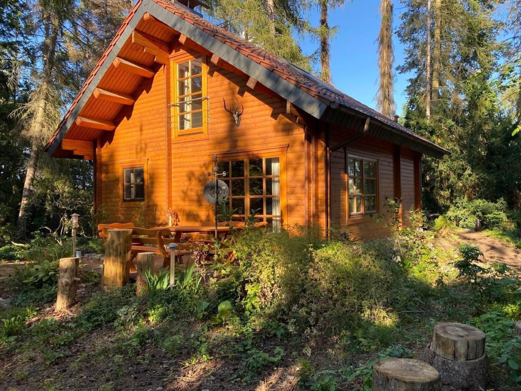 Welcome to the Waldhaus EICHHÖRNCHEN, your perfect retreat for a break in the middle of nature in idyllic Bad Schmiedeberg. Uniquely located on the western edge of the spa town, right at the entrance..