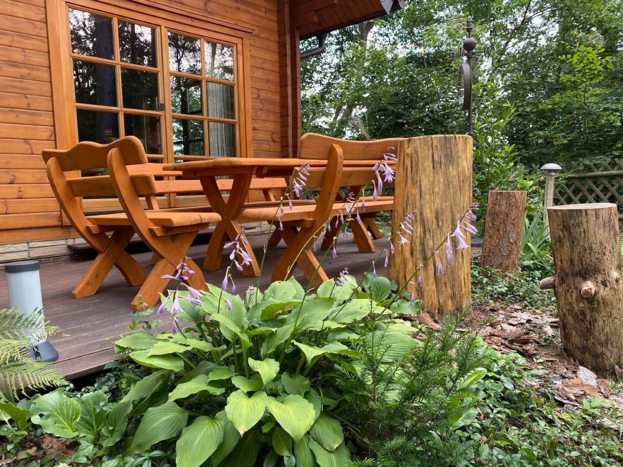 WaldhausEichhörnchen-Image-tags.info