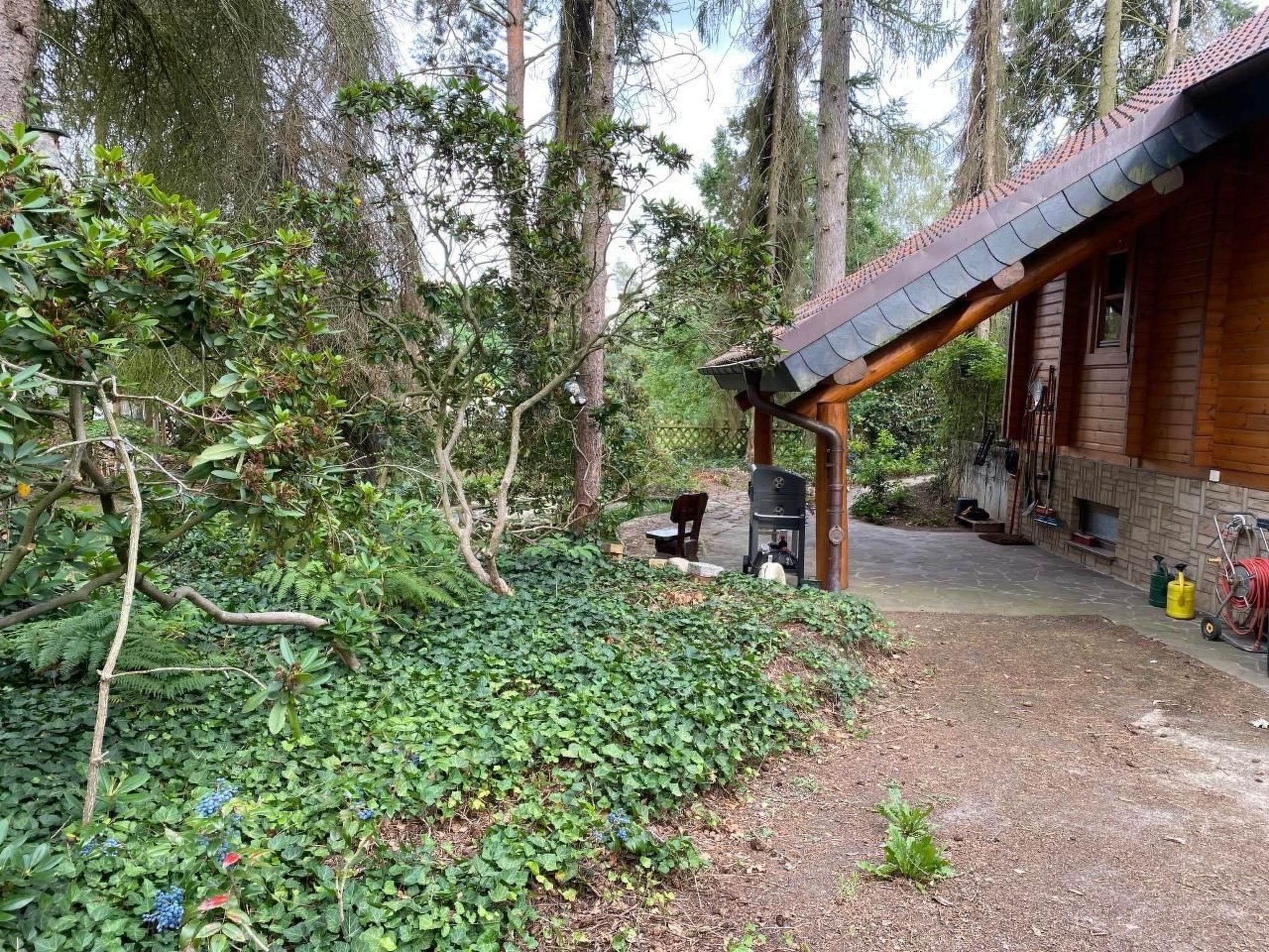 WaldhausEichhörnchen-Image-tags.info