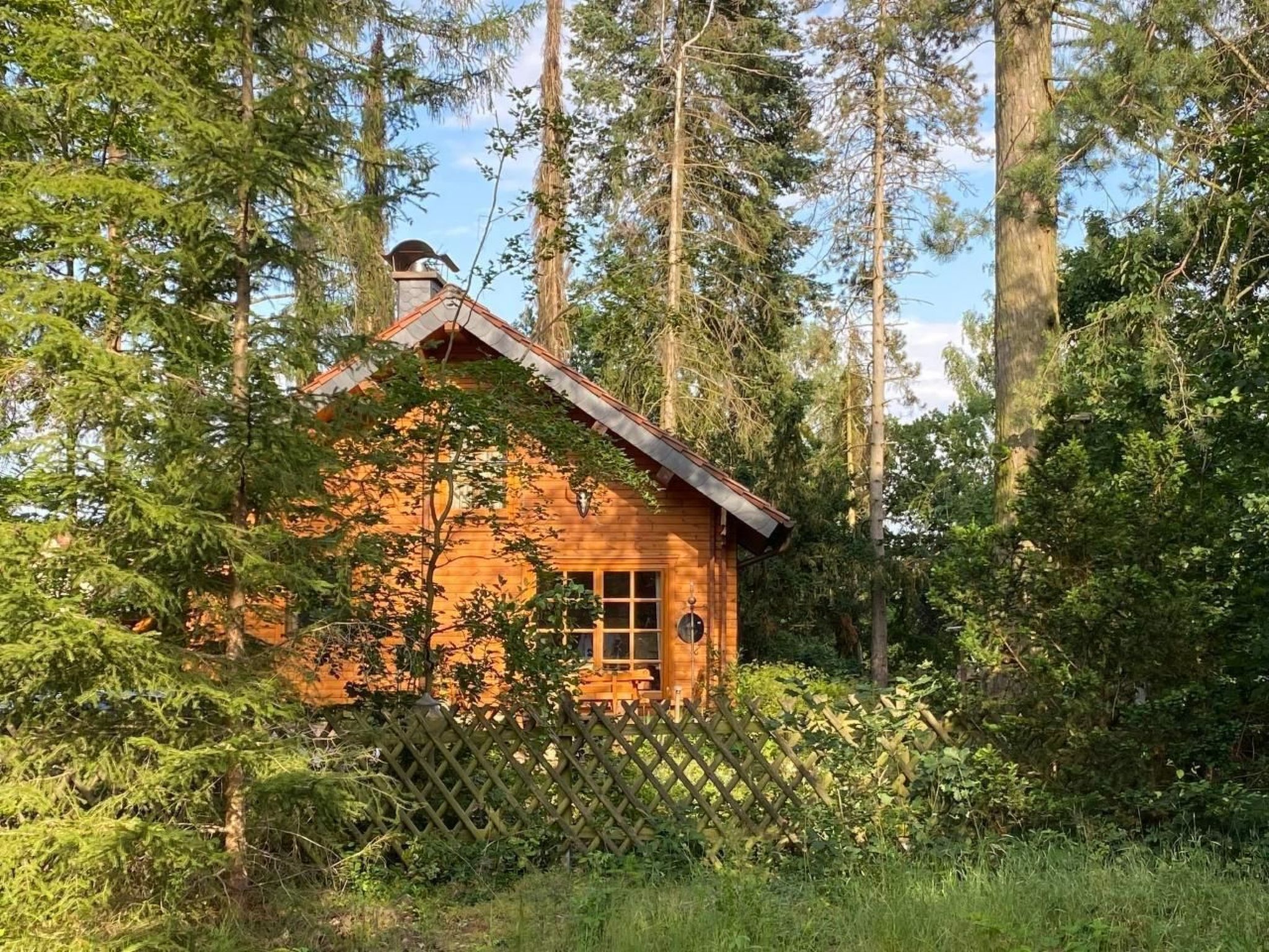 WaldhausEichhörnchen-Image-tags.info