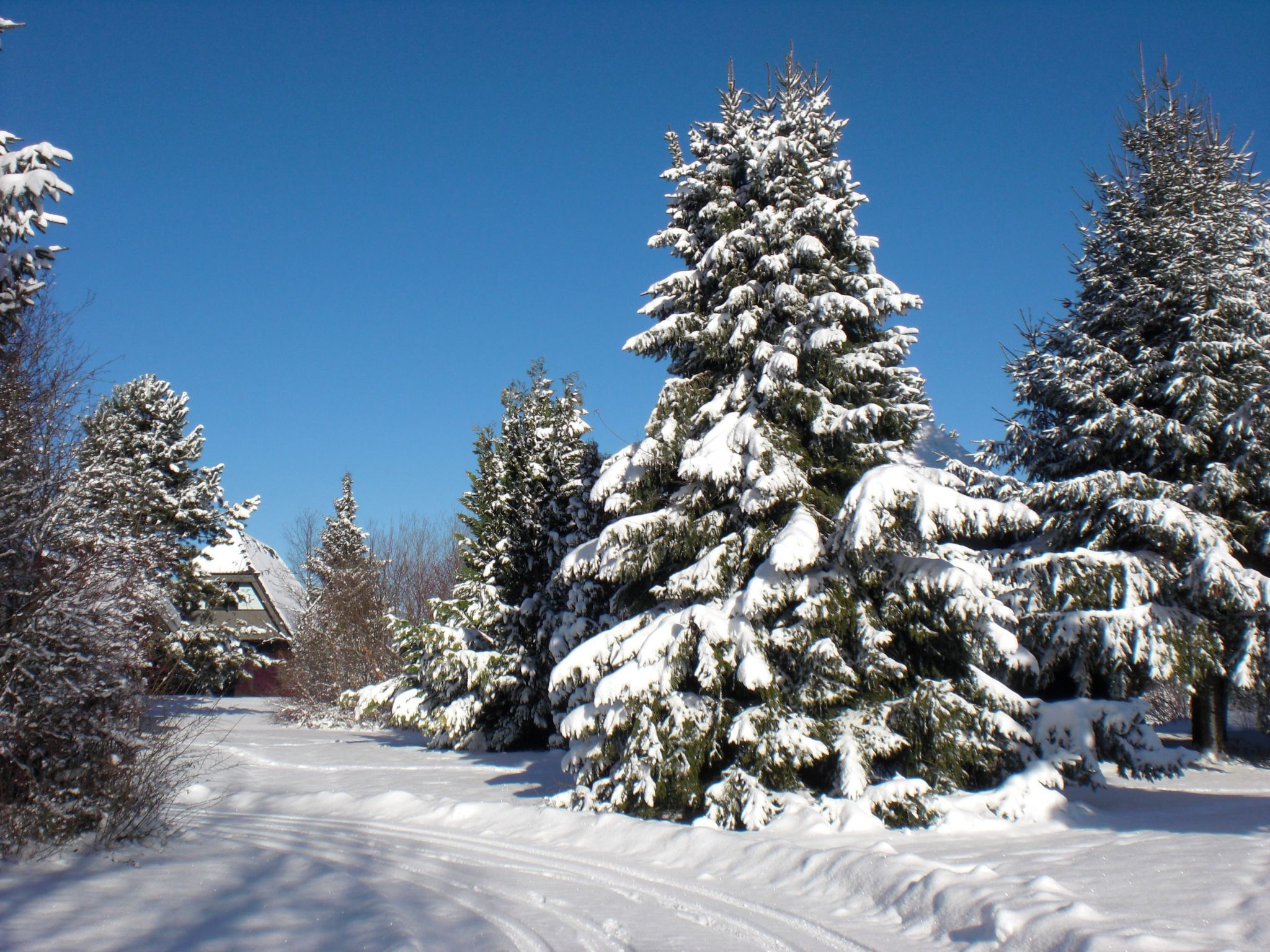 Haus Robinson-Binnen