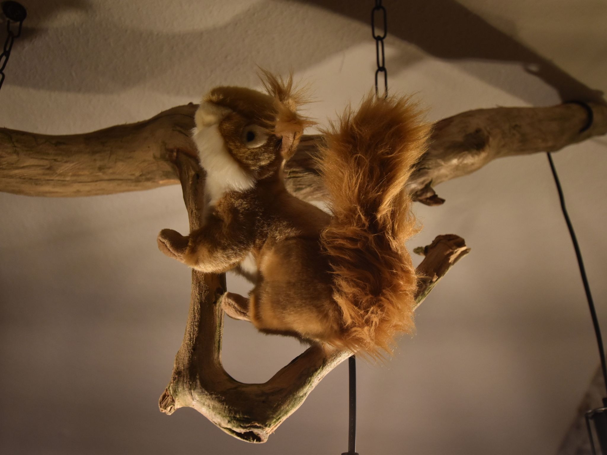 Odenwaldwellness-Binnen