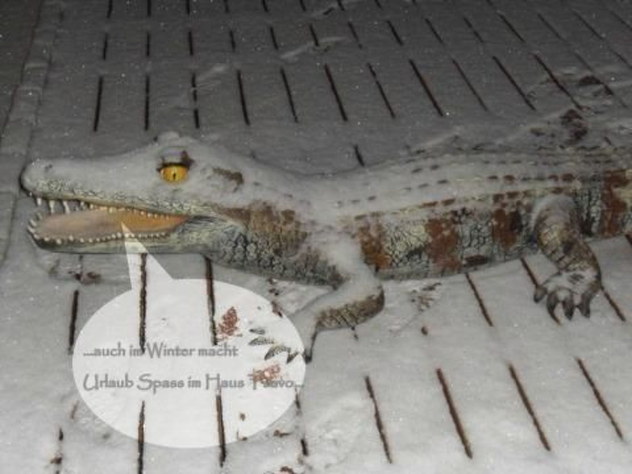 In Kuhklingen mit Großer Terrasse-Inside