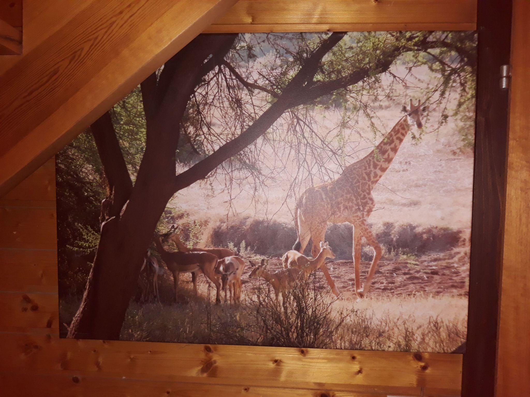 In Kuhklingen mit Großer Terrasse-Inside