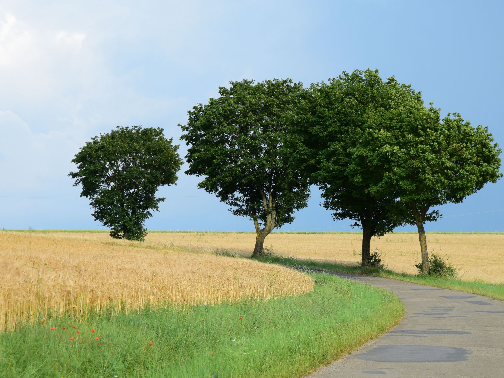 Historisch Forsthaus in Weikersheim: 6 pers., tuin & centrum op 50m - foto 34