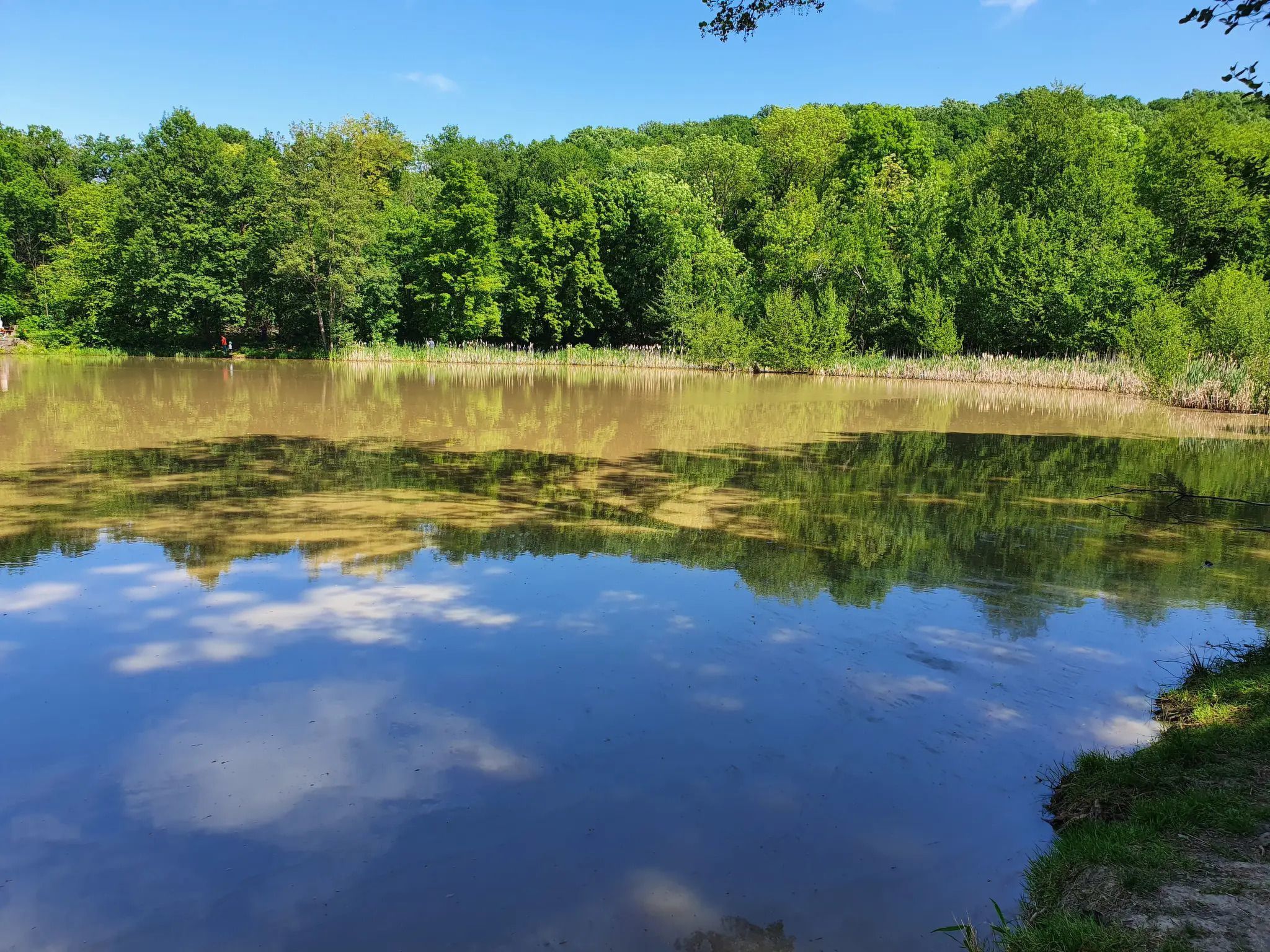 Ferienapartment Schlummerhausen-Image-tags.info