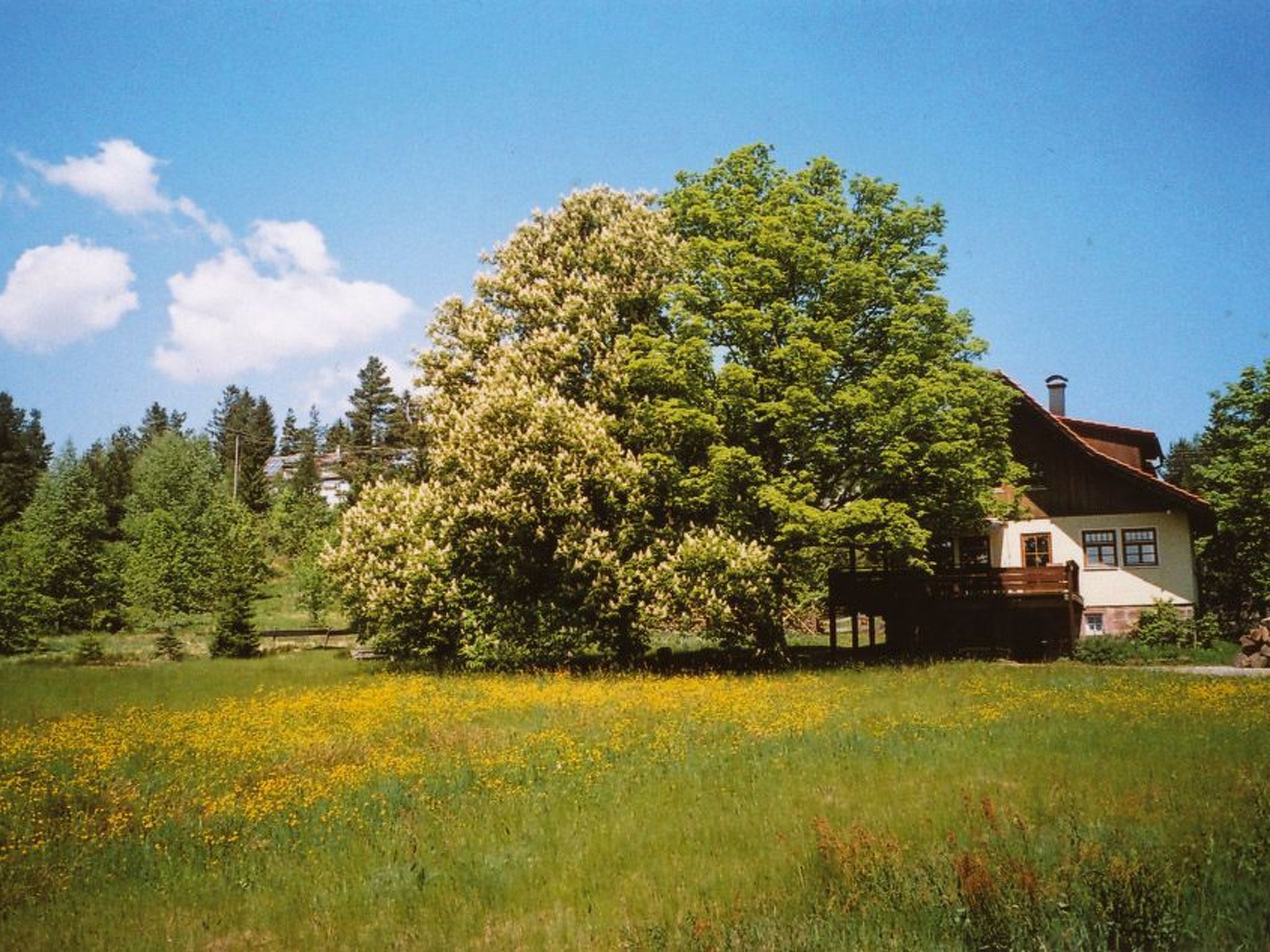Landhaus Graf-Binnen