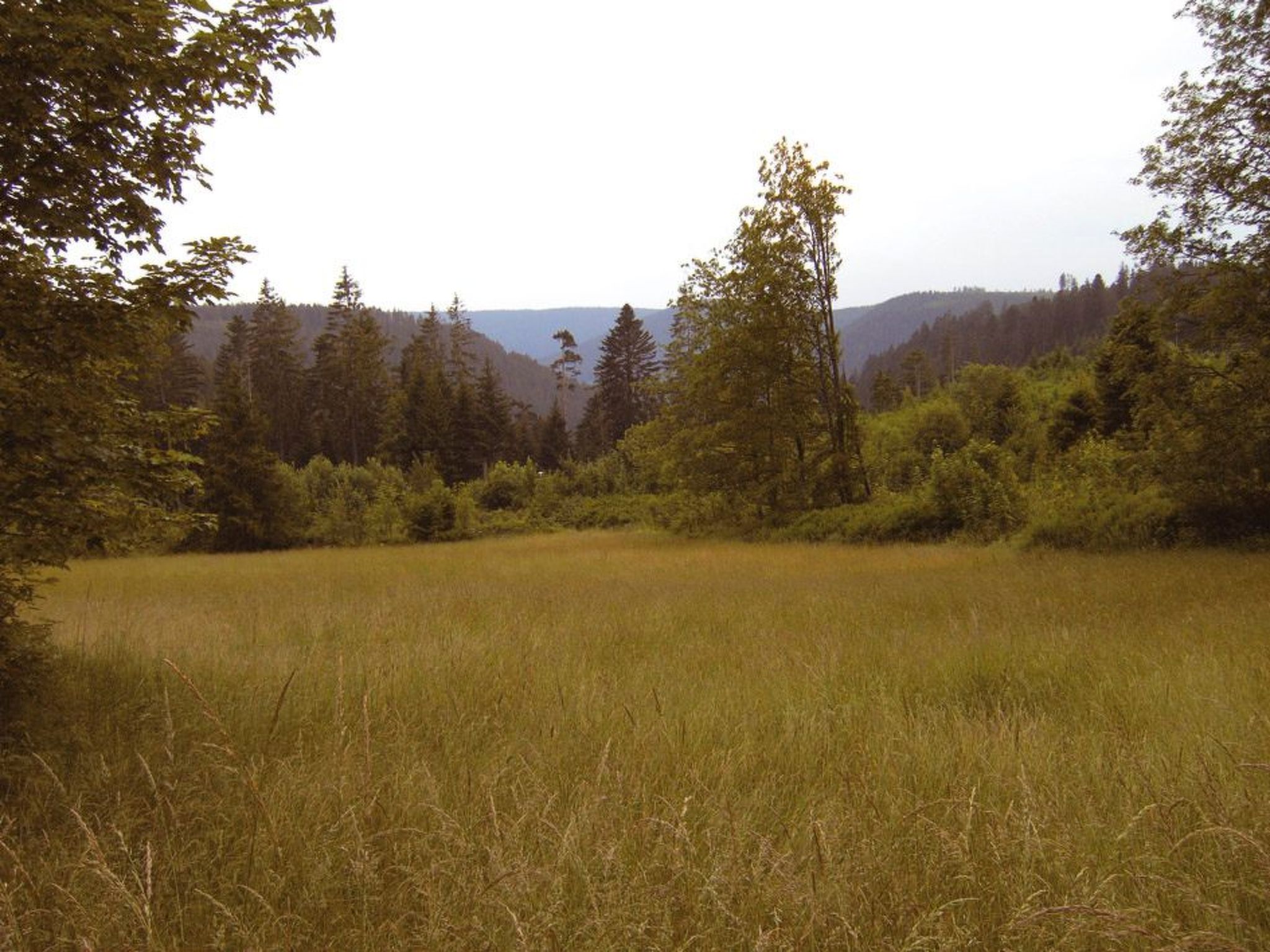 Landhaus Graf-Binnen
