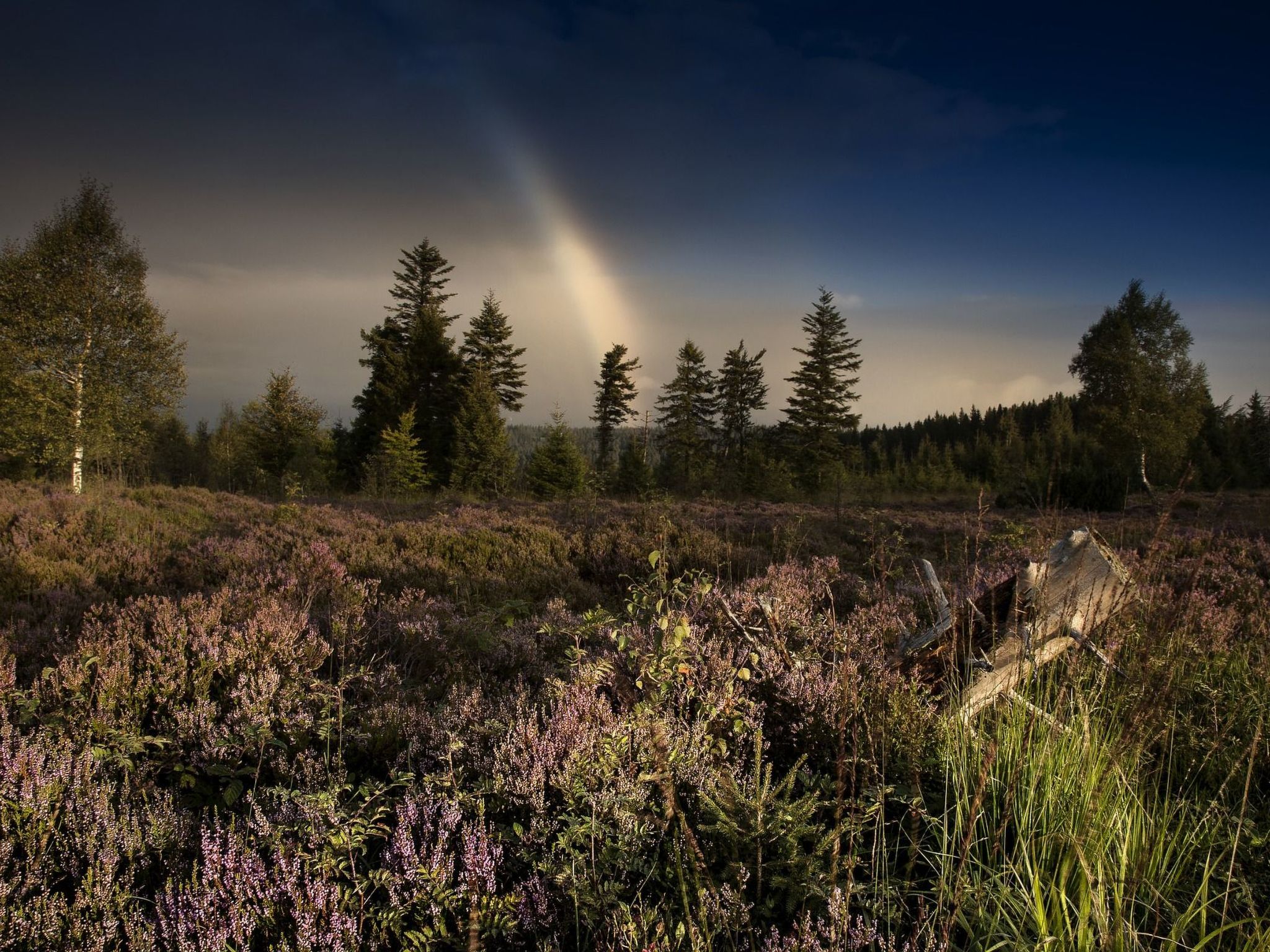Landhaus Graf-Binnen