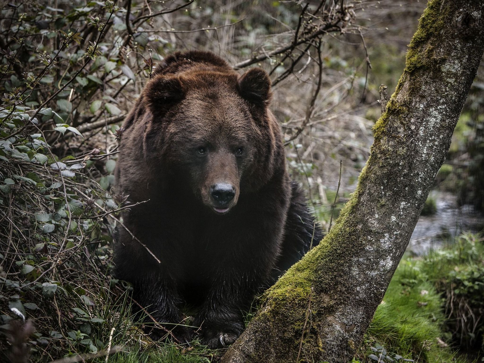 Landhaus Graf-Binnen