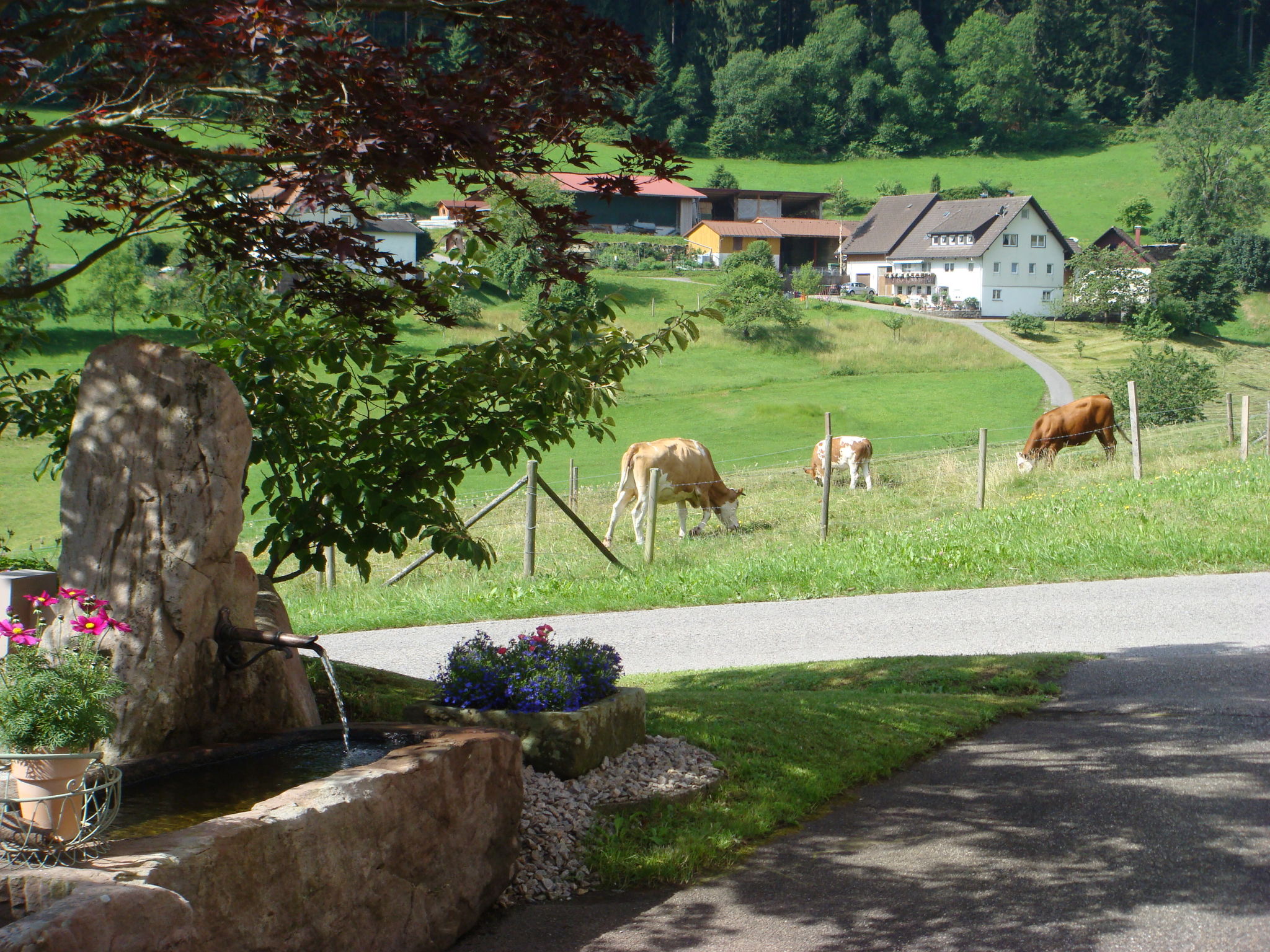 Alte Apotheke Nr. 1 -Offizin-Omgeving