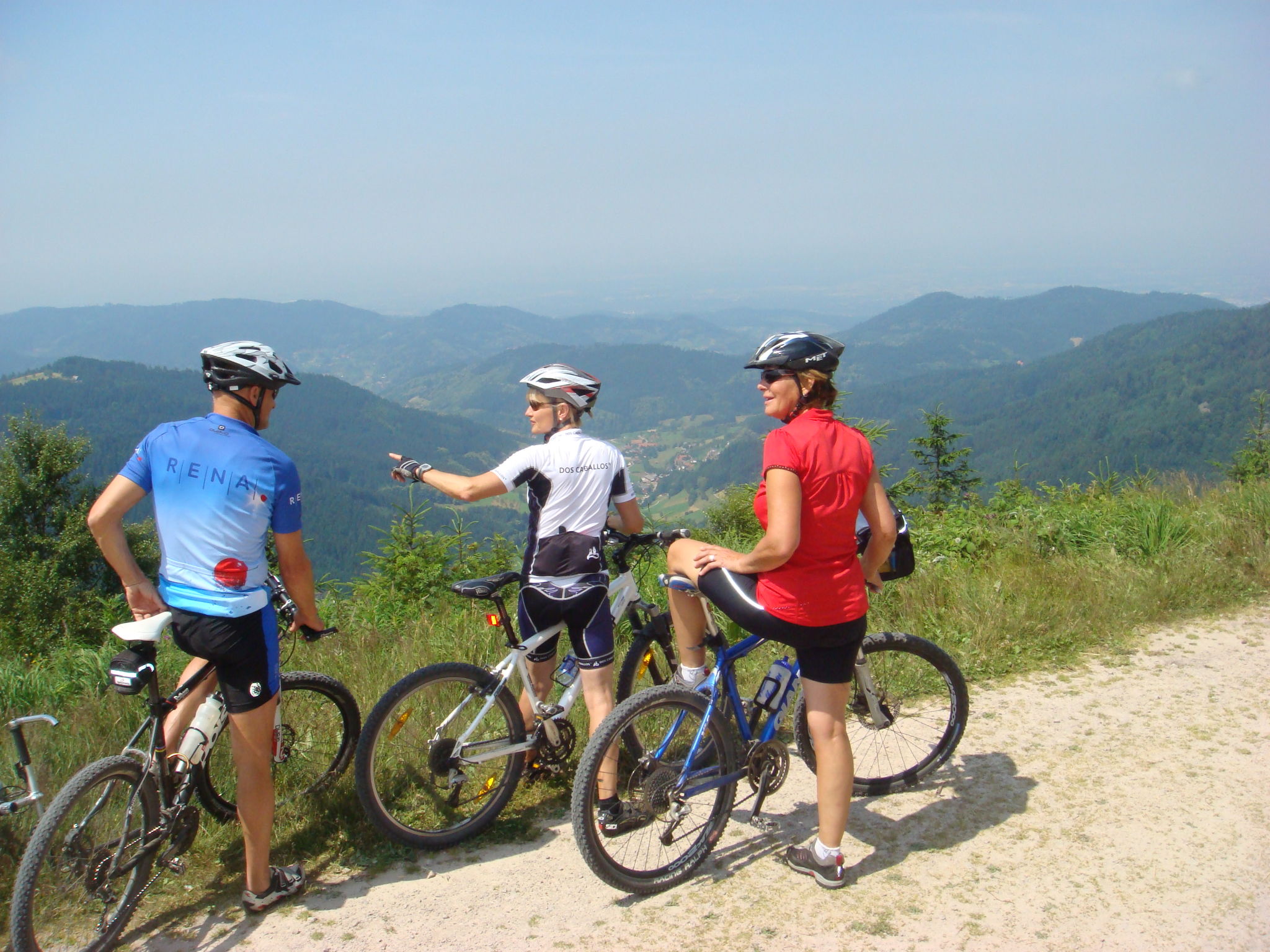 Schwarzwald Idylle-Omgeving