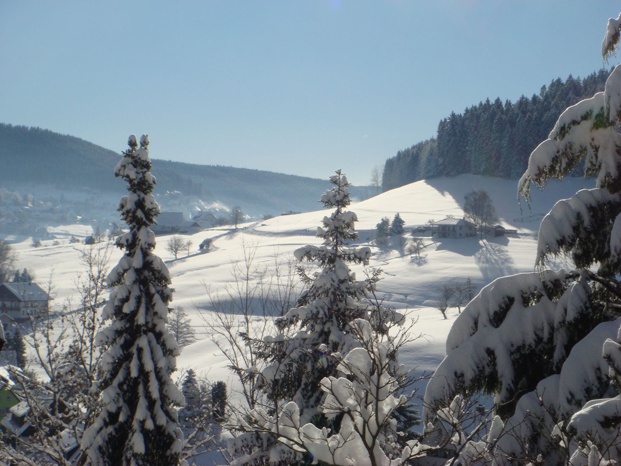 Schwarzwald Idylle-Omgeving
