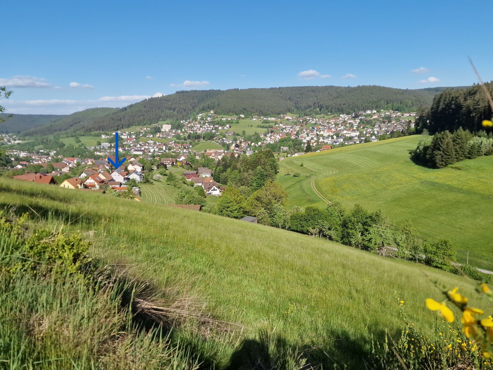 Schwarzwald Idylle