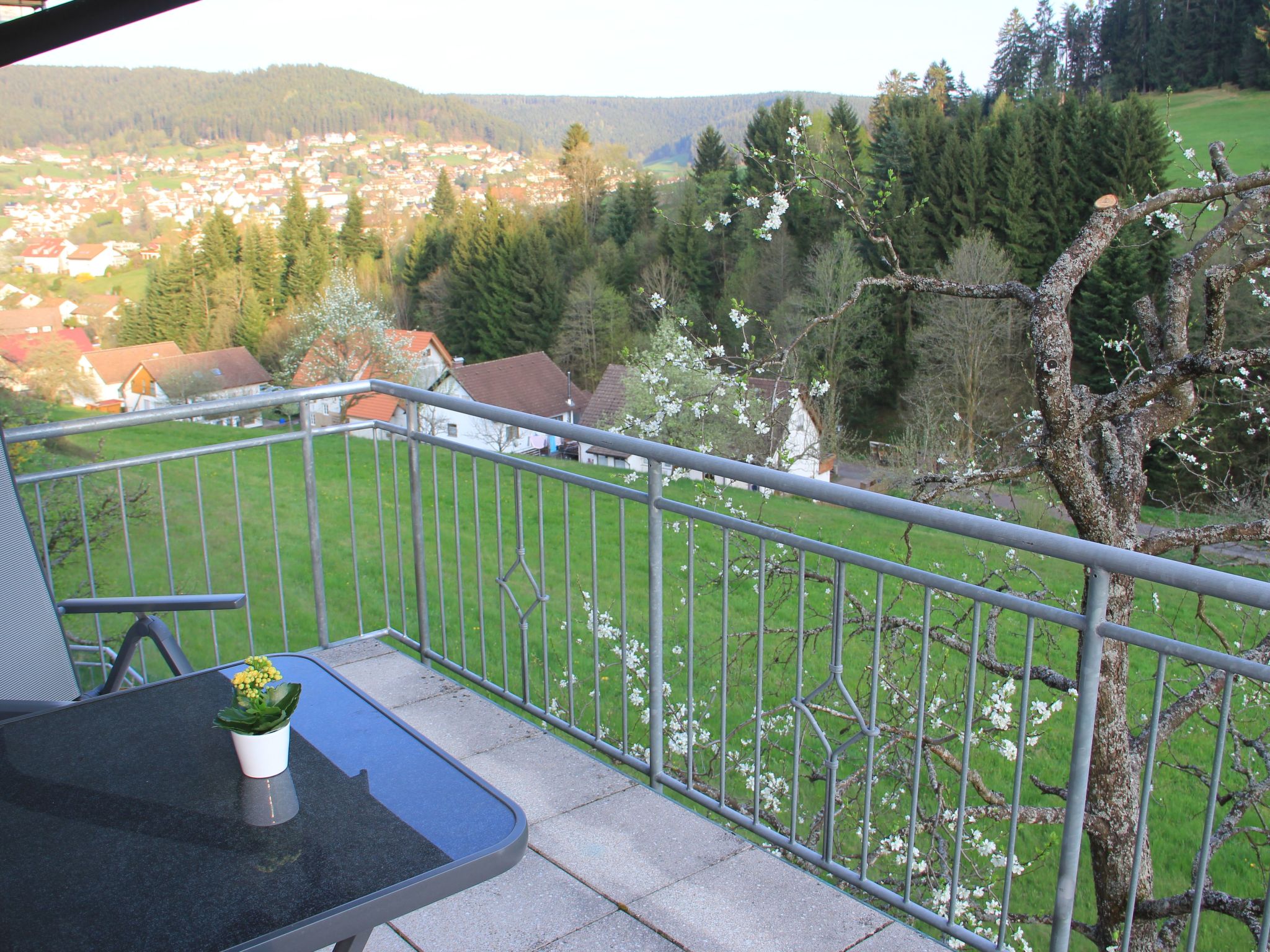 Schwarzwald Idylle-Image-tags.info