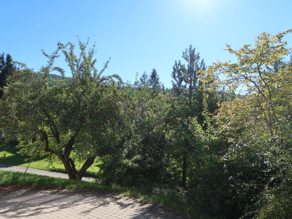 Bild 22
