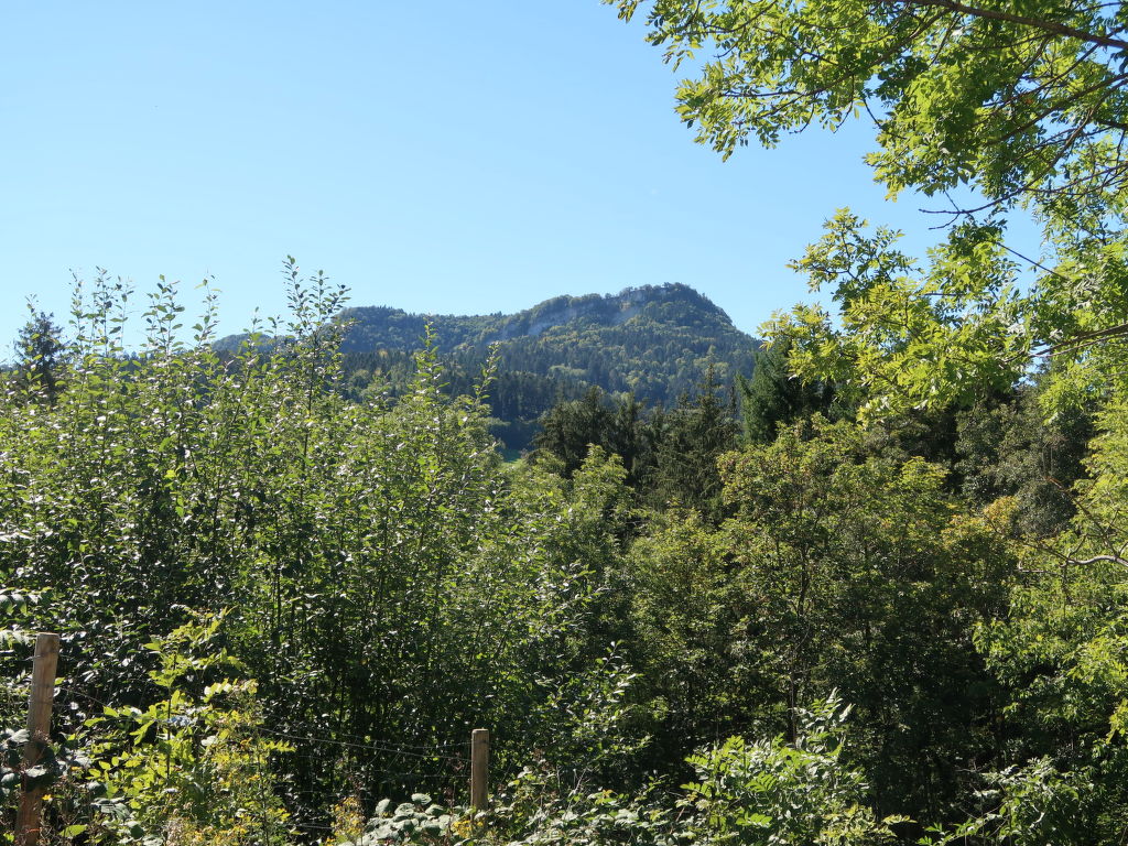 Bild 23