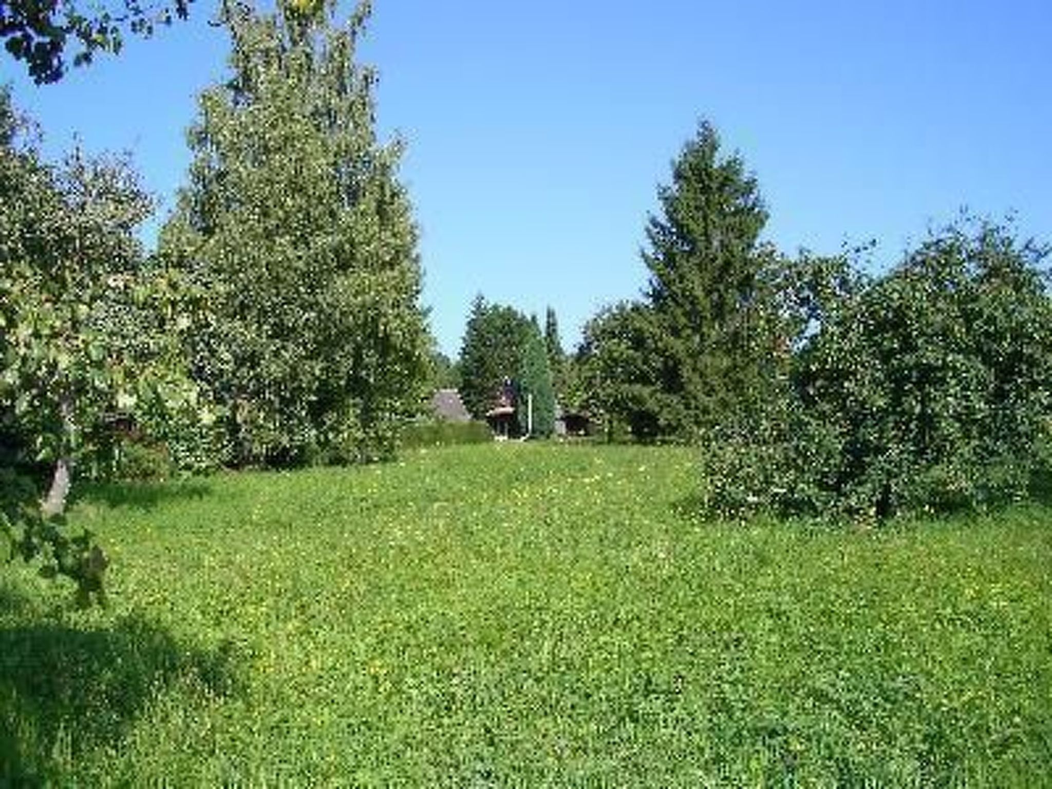 Nur-Dach-Ferienhaus für vier Personen-Binnen