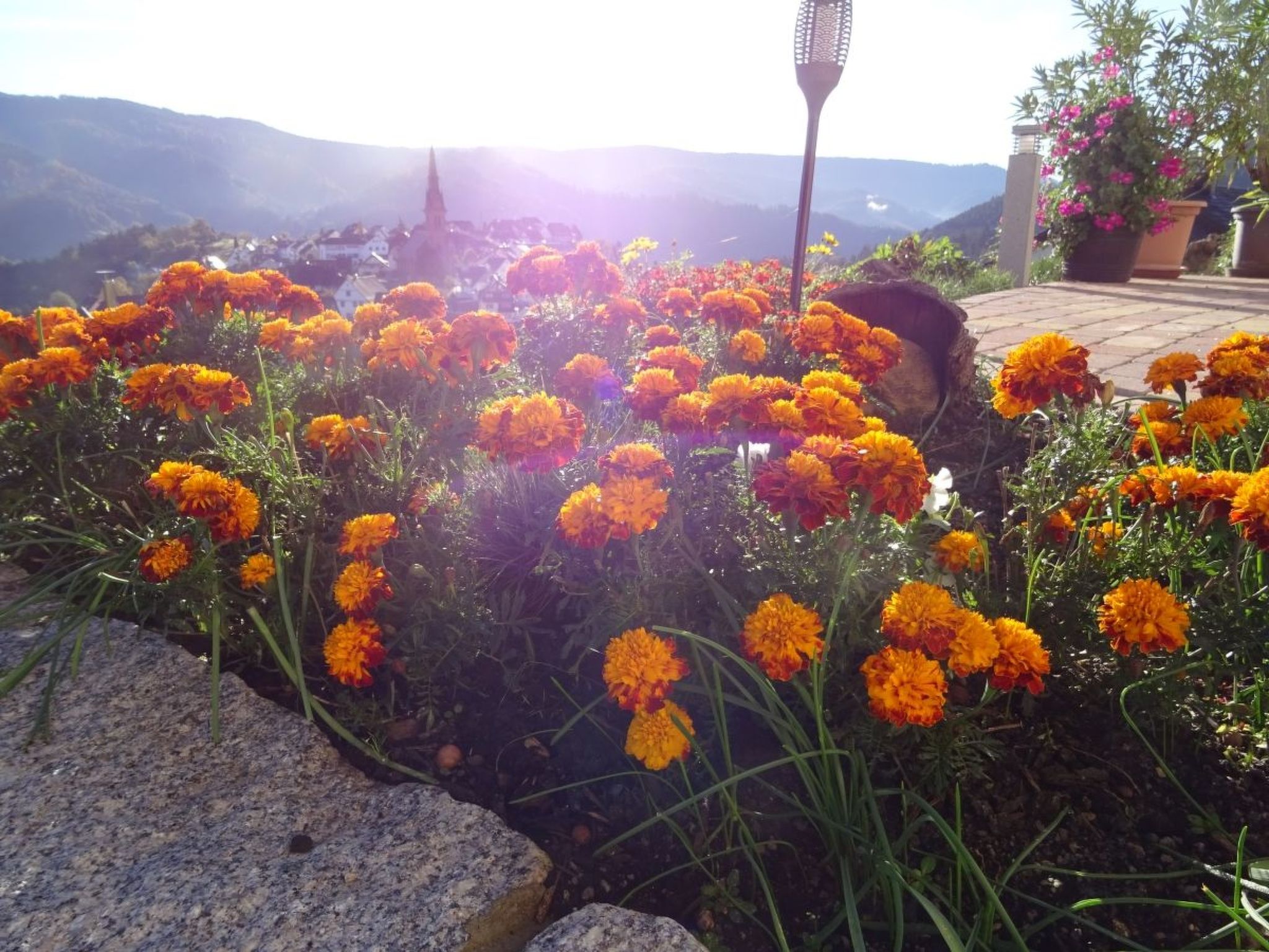 Am Keschtewaeldele-Binnen