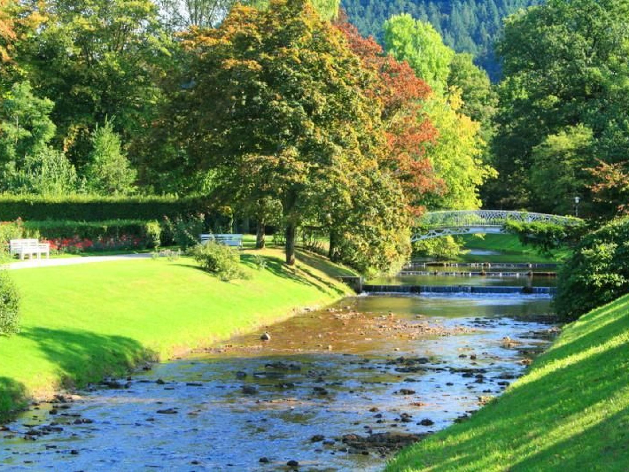 Julija-Image-tags.info