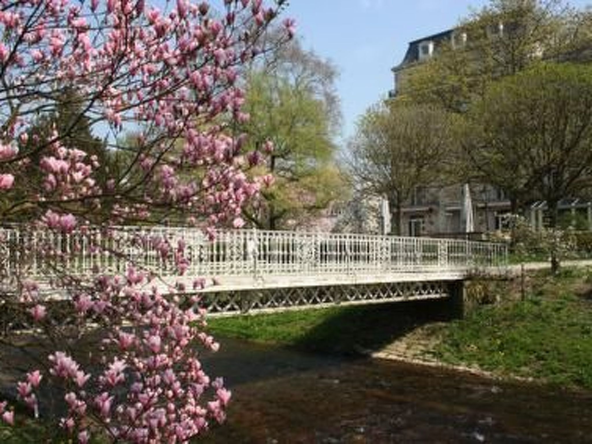 Julija-Image-tags.info