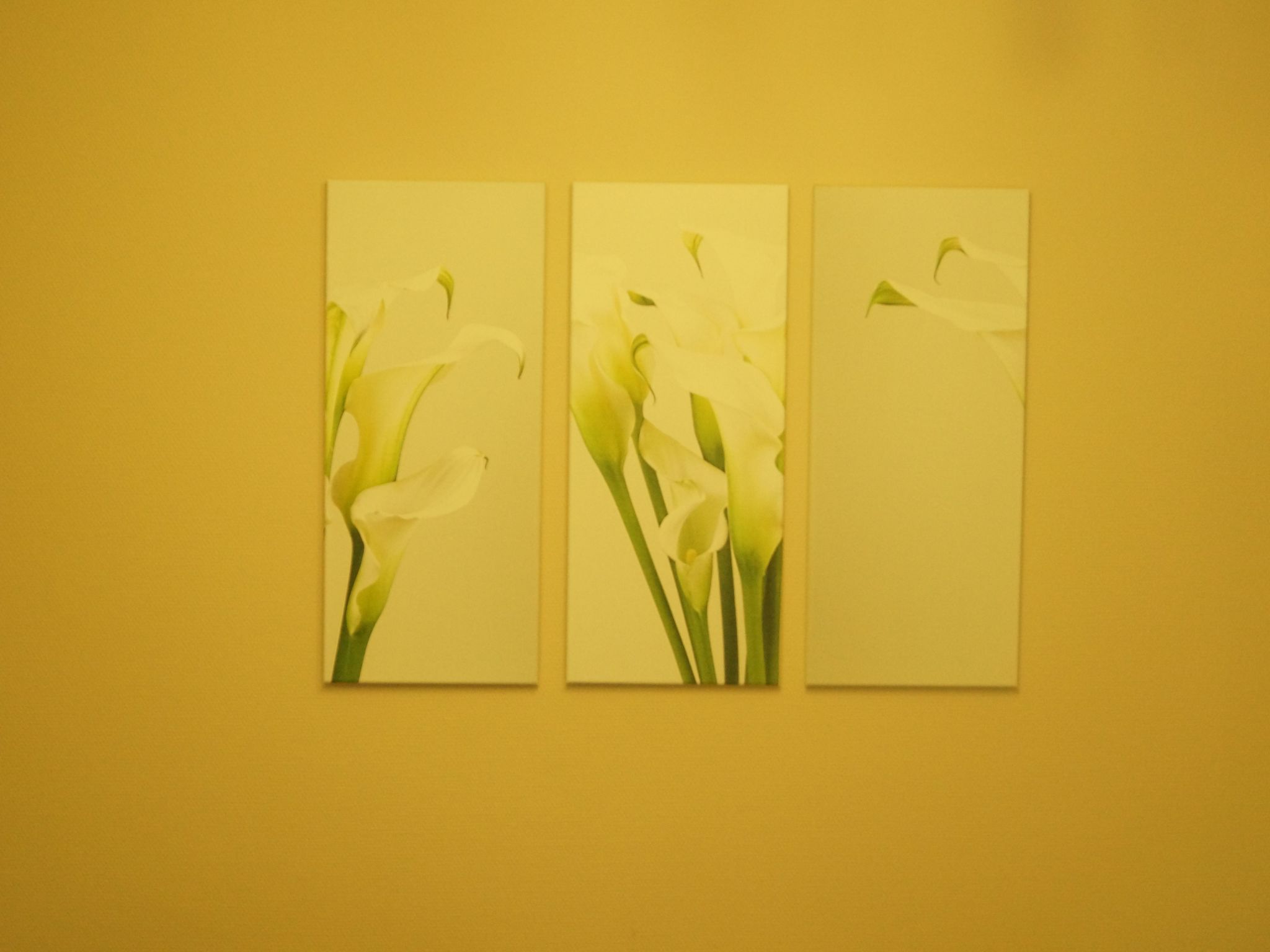 Cassiopaia in Baden-Baden-Binnen