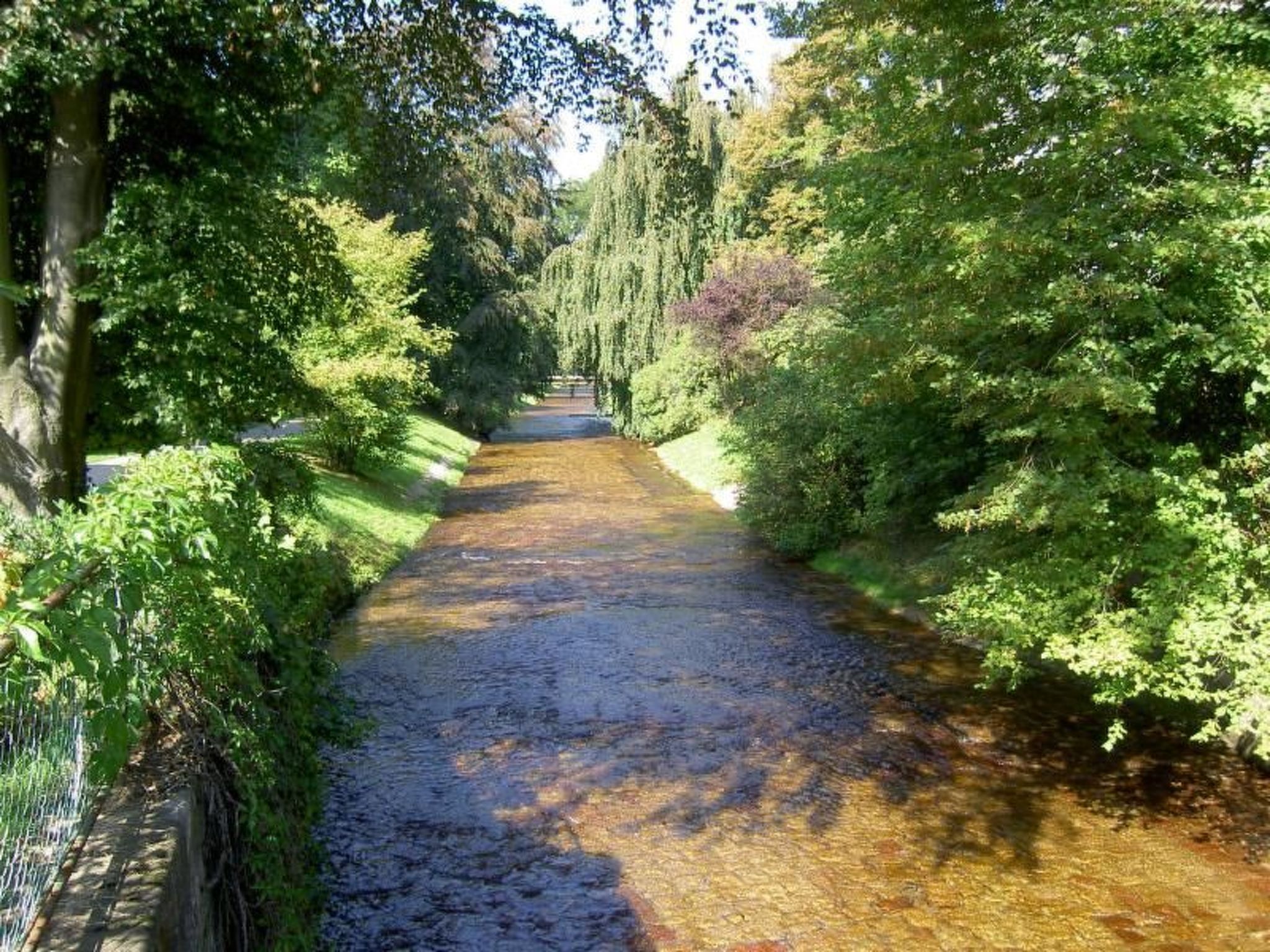 Cassiopaia in Baden-Baden-Binnen