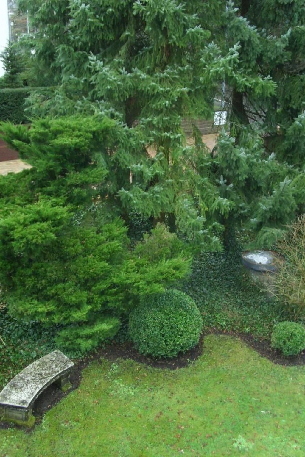 Cassiopaia in Baden-Baden-Binnen