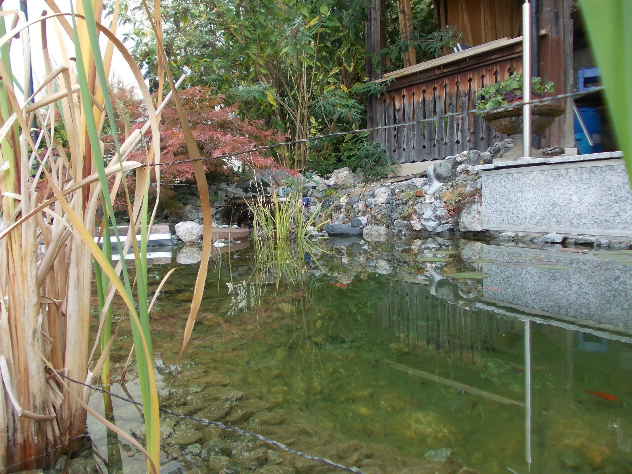 Monterosa in Baden-Baden-Binnen