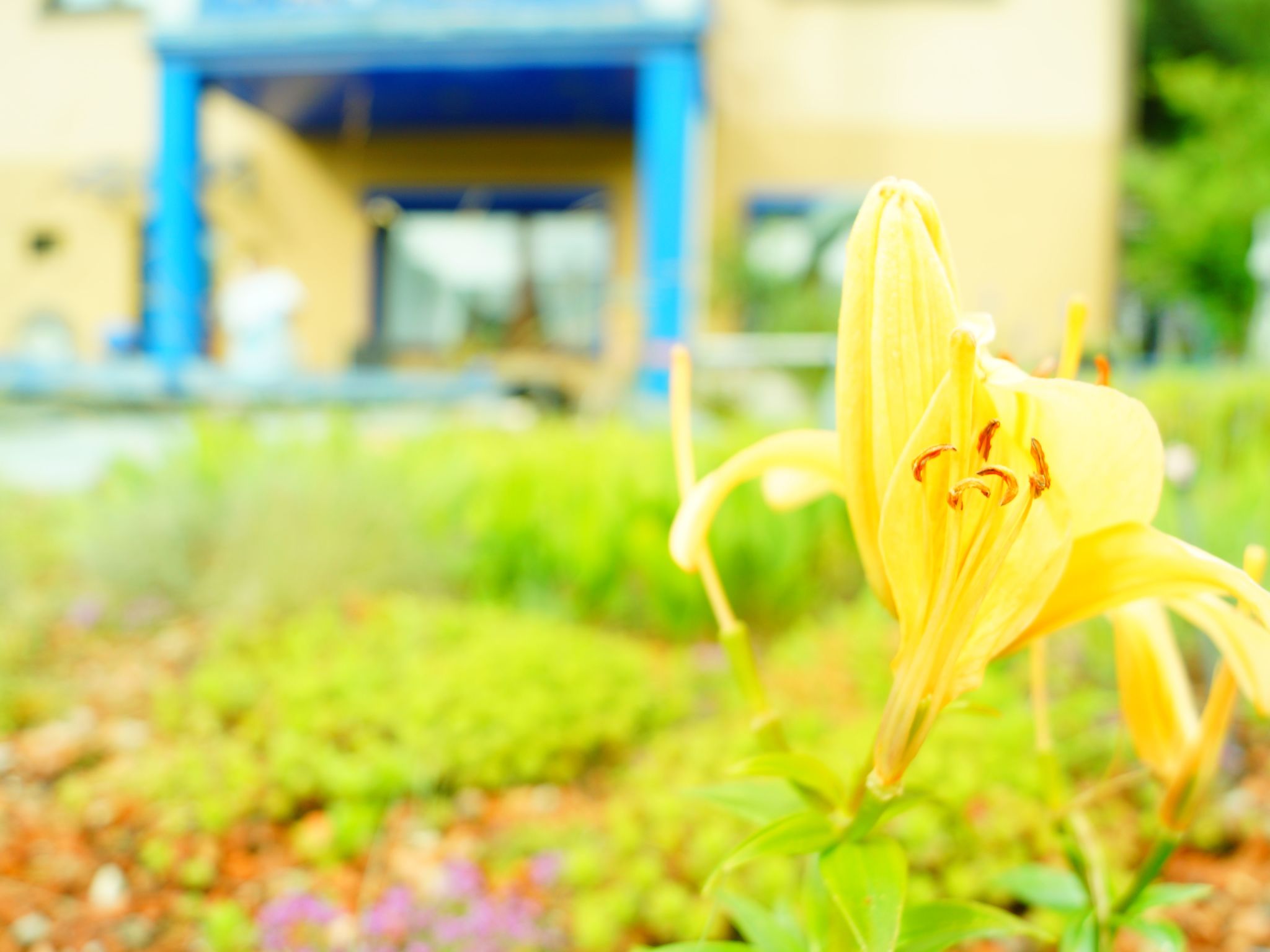 Monterosa in Baden-Baden-Binnen