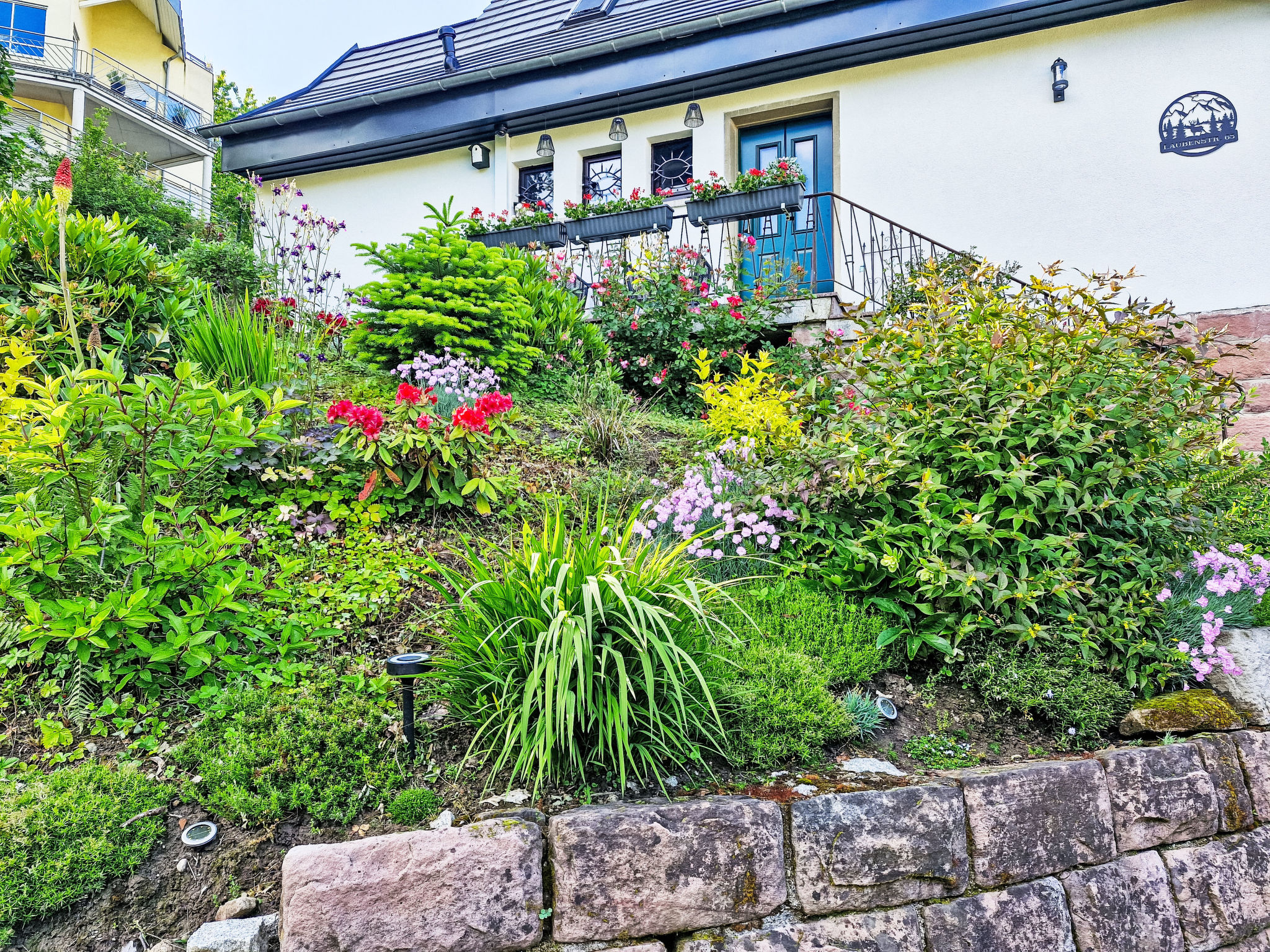 Schwarzwald Königin - Buiten