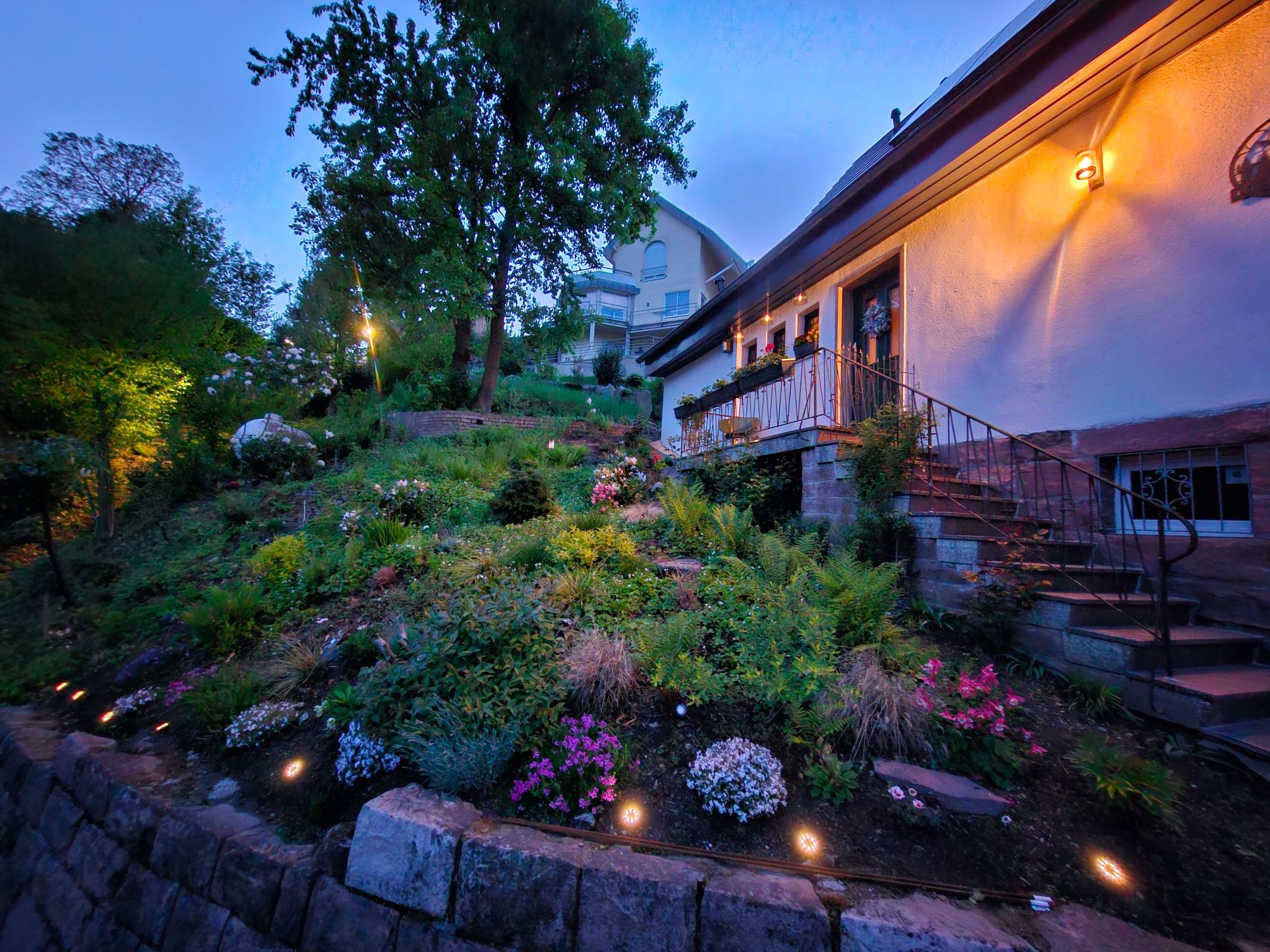 Schwarzwald Königin-Dehors