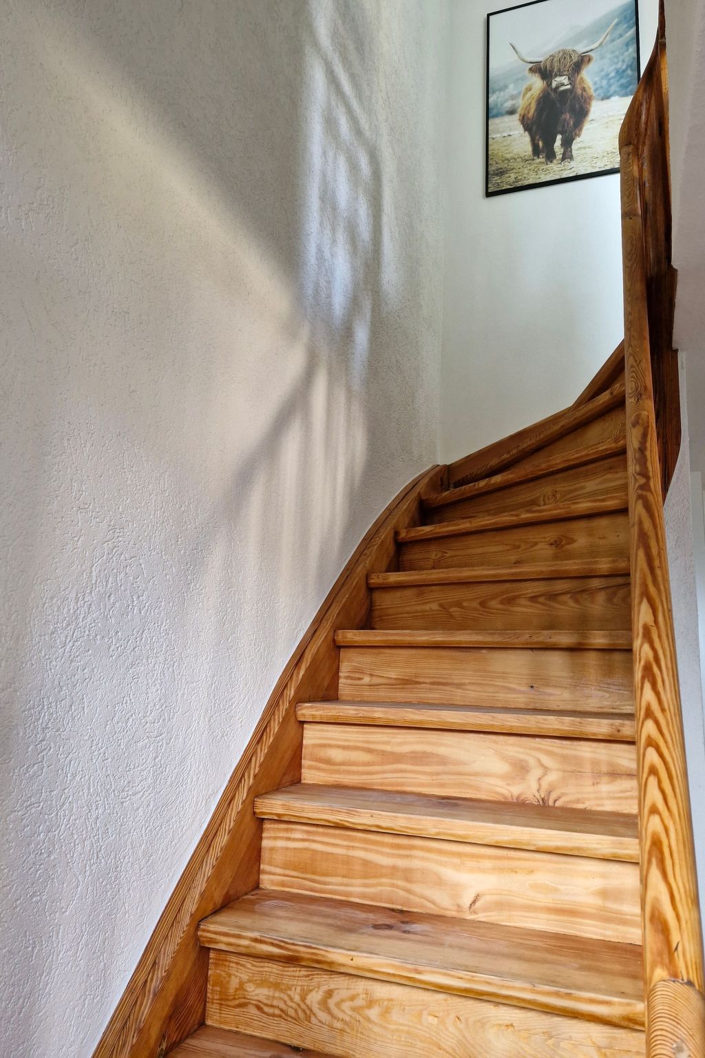 Schwarzwald Königin-Dehors