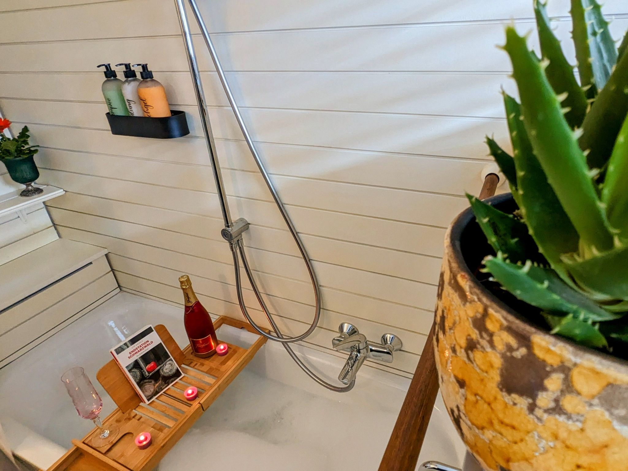 Schwarzwald Loft mit Schwimmbad und herrlicher Aussicht-Image-tags.info