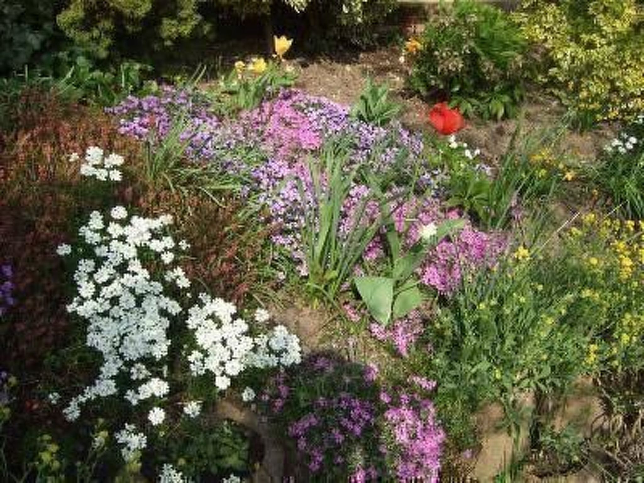 Mayer in Oberkirch-Binnen