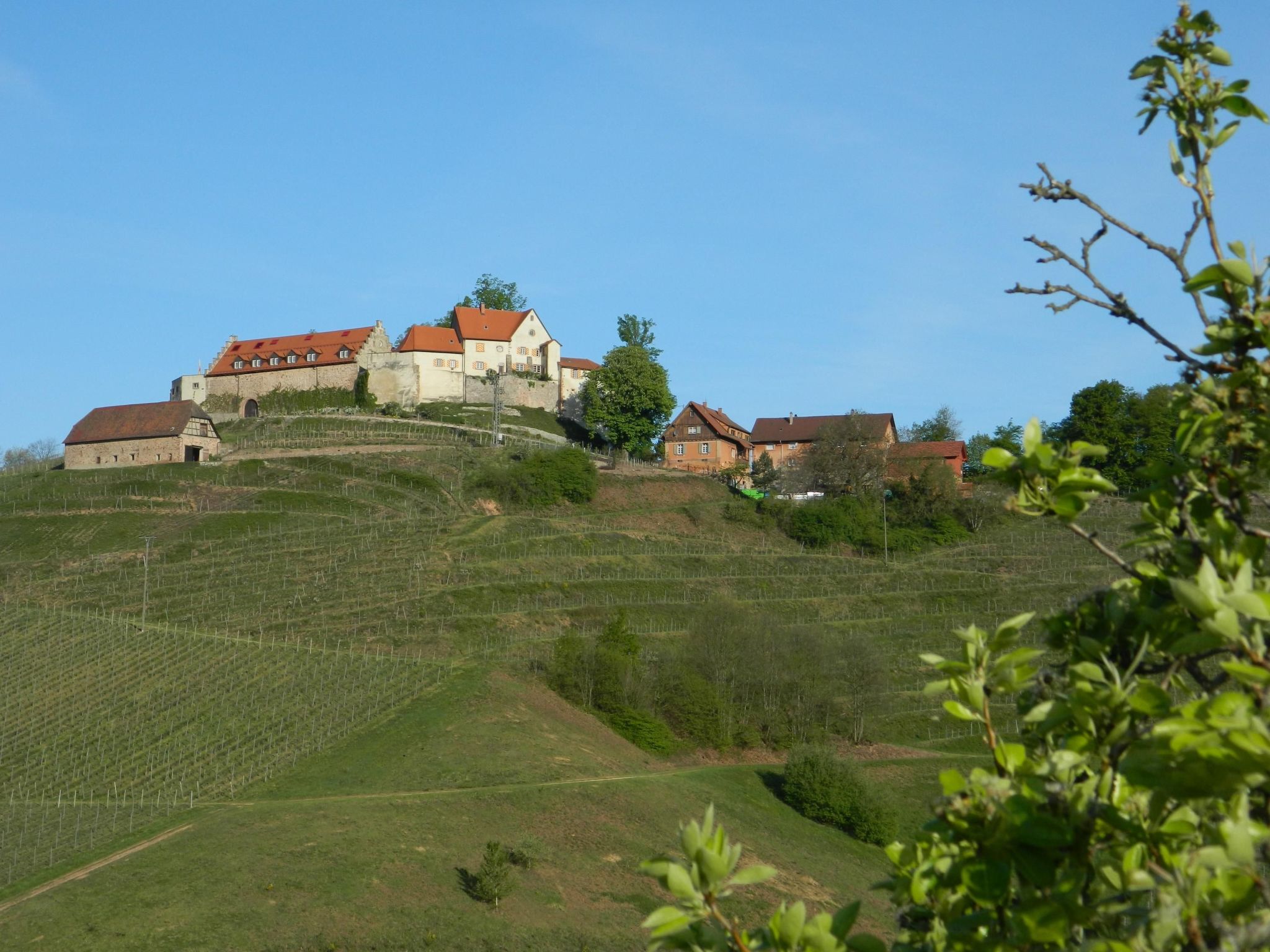 Im Haus Hurst im goldenen Weindorf-Binnen