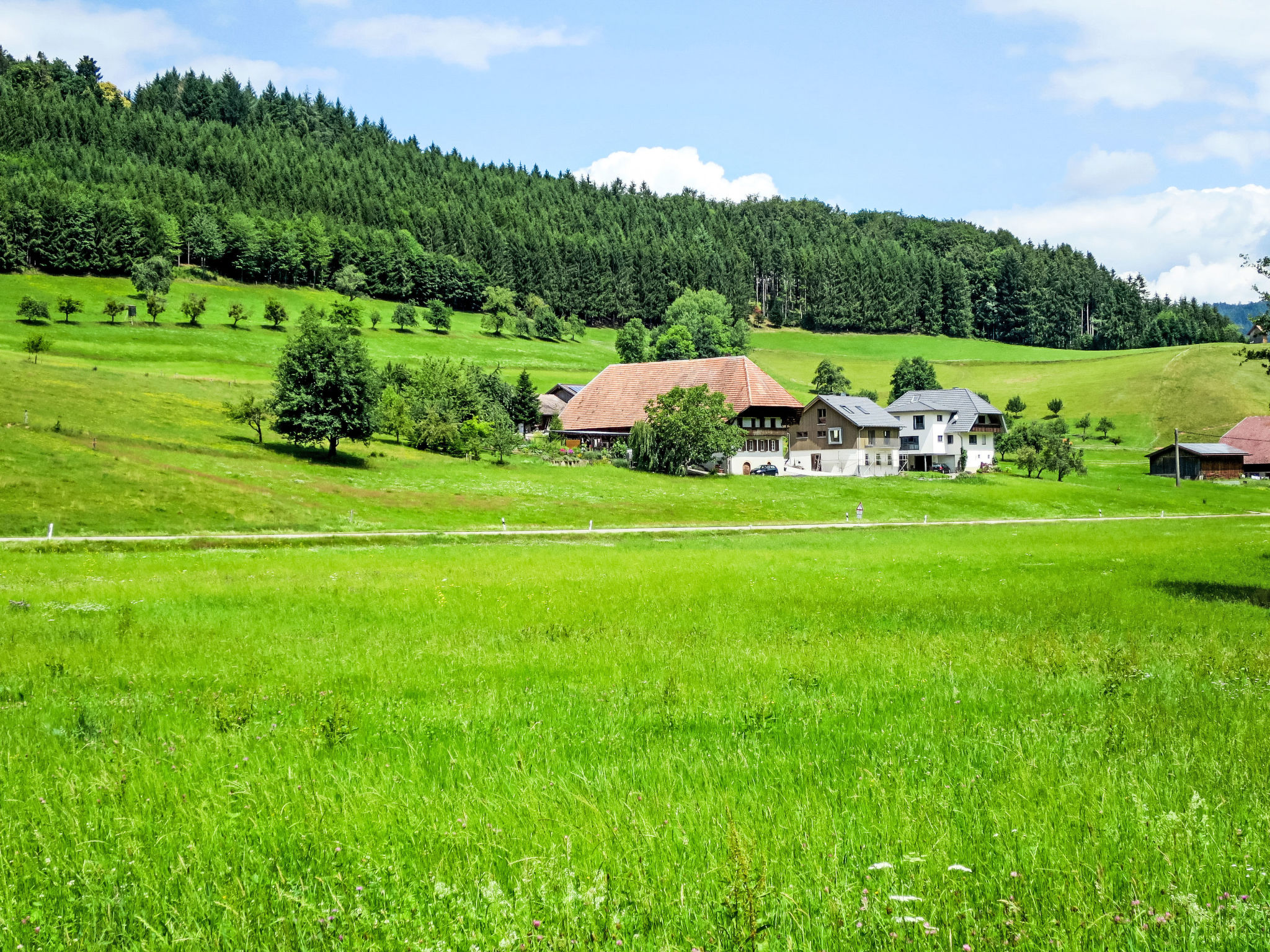 Kinast (HFT201)-Draußen