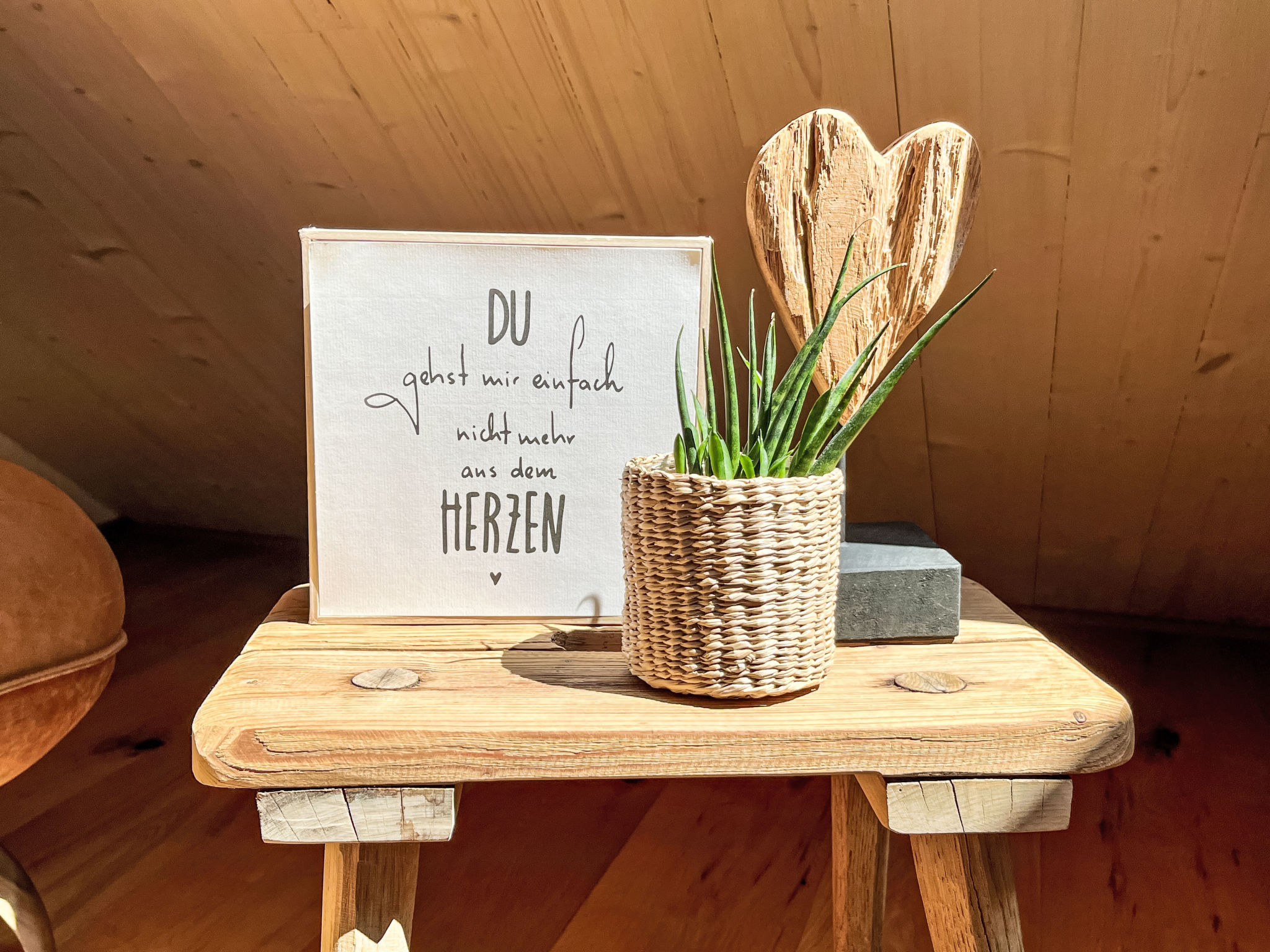 Kinast (HFT202)-Binnen