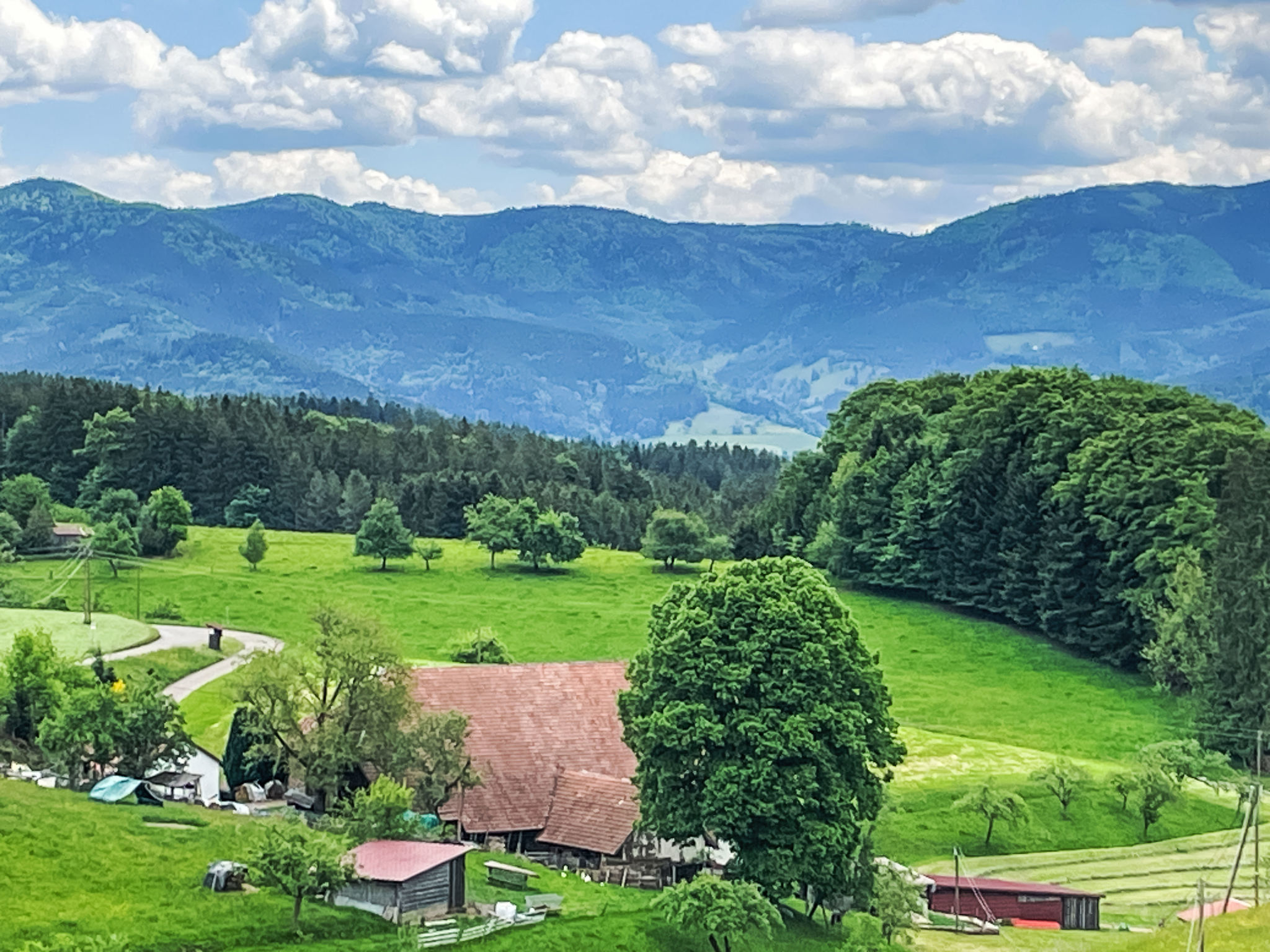 Schwarzwaldfrieden-Buiten