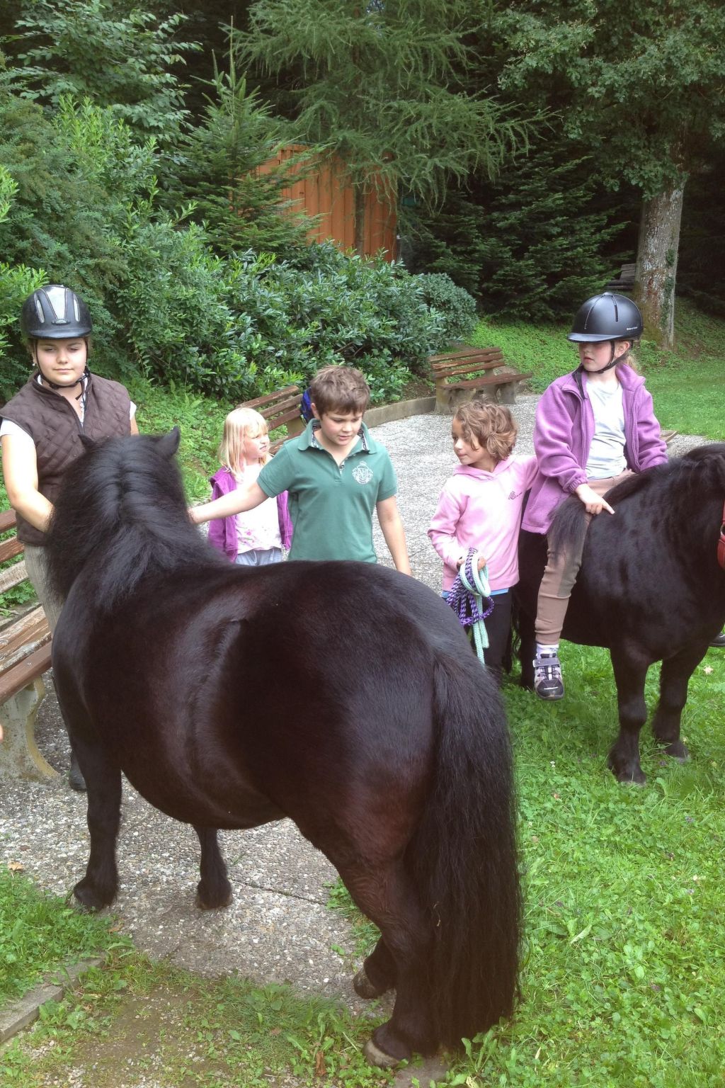 Fuchsbau-Image-tags.info