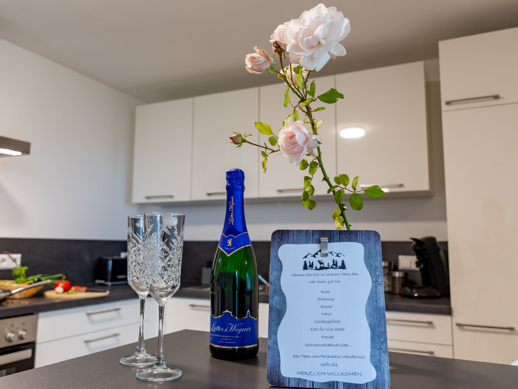 FeWo mit Whirlpool und Infrarotsauna-Dedans