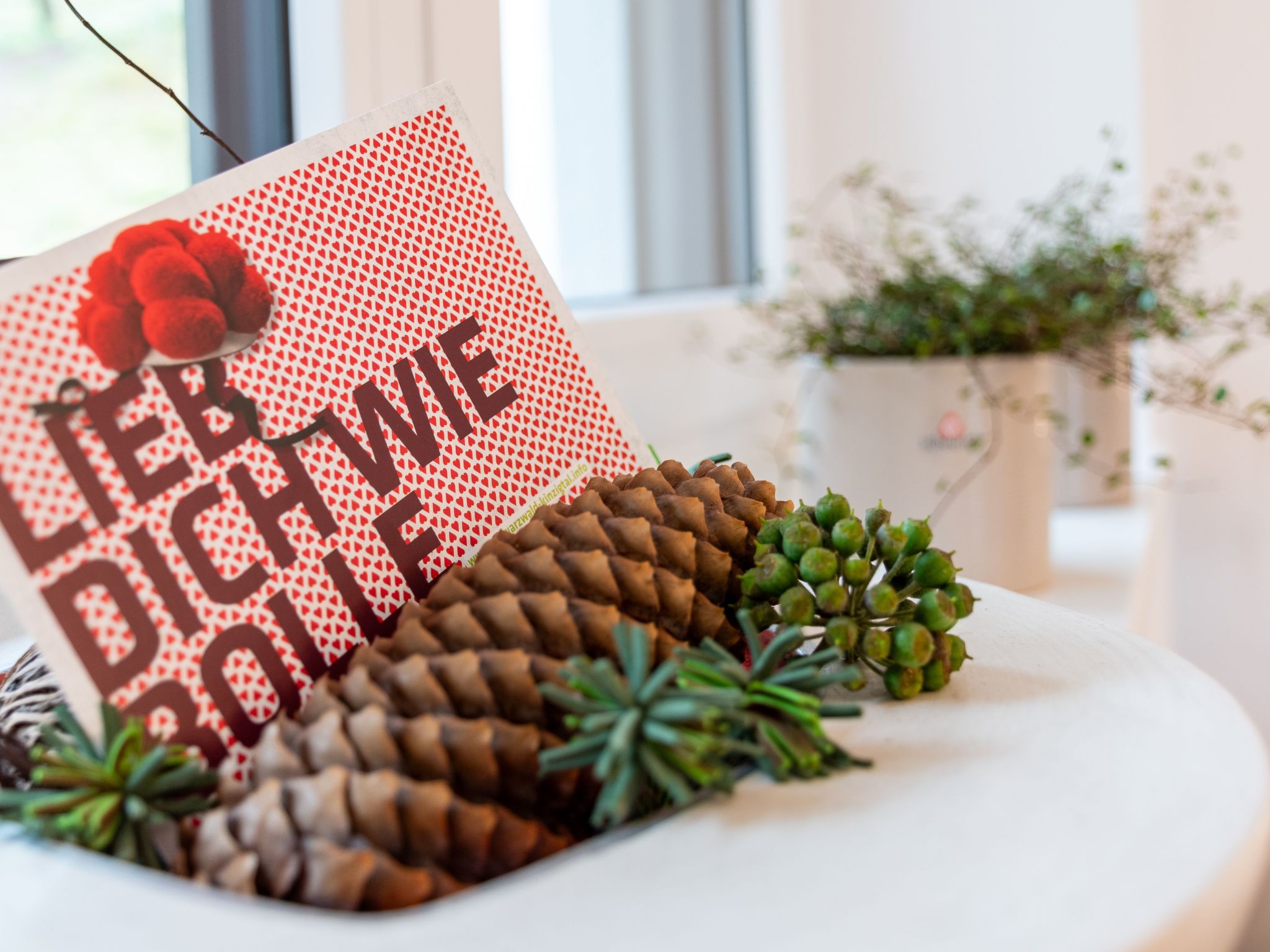 FeWo mit Whirlpool und Infrarotsauna-Dedans