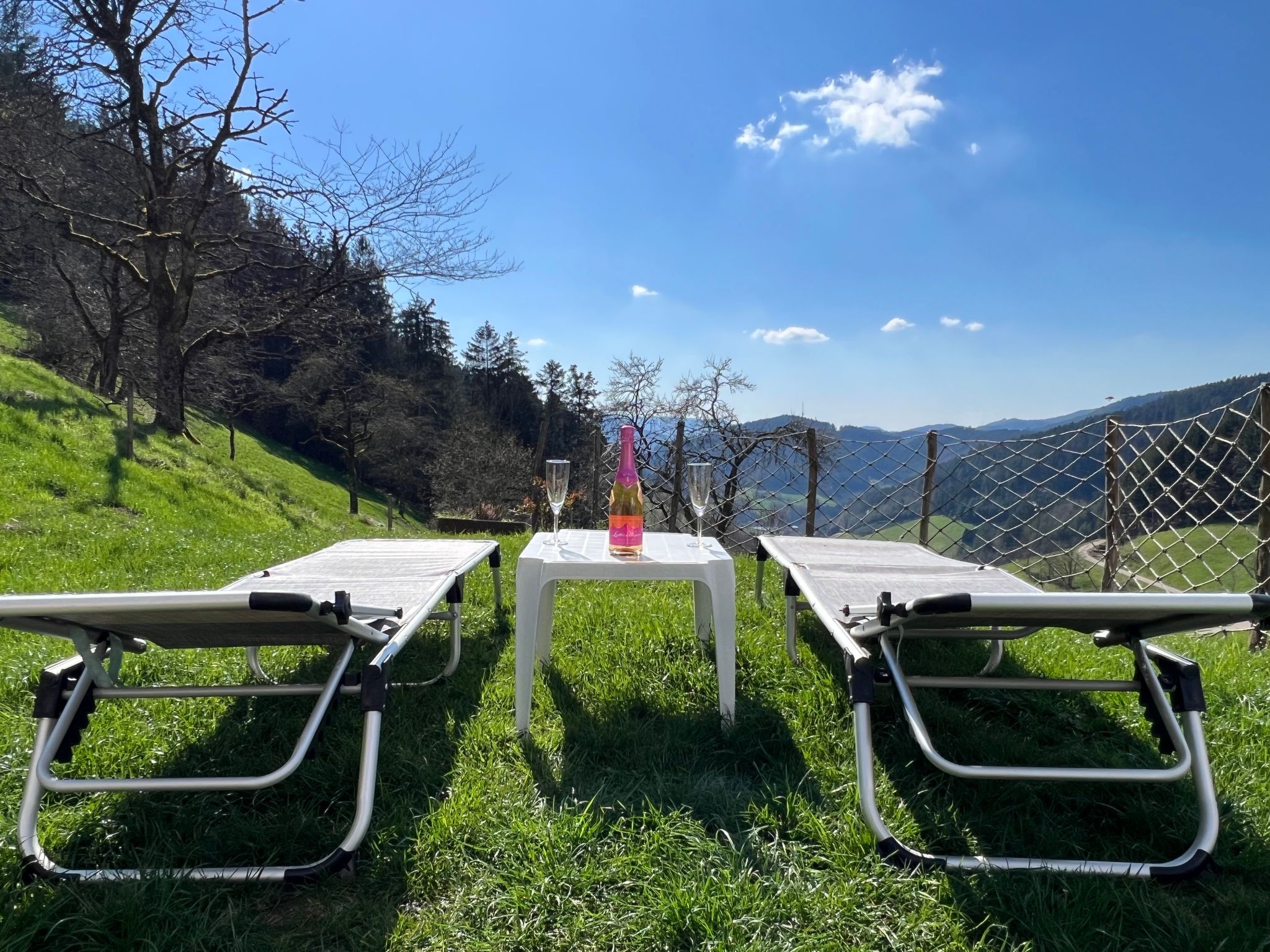 Haus mit Whirlpool, Sauna und Schwarzwaldblick-Dedans