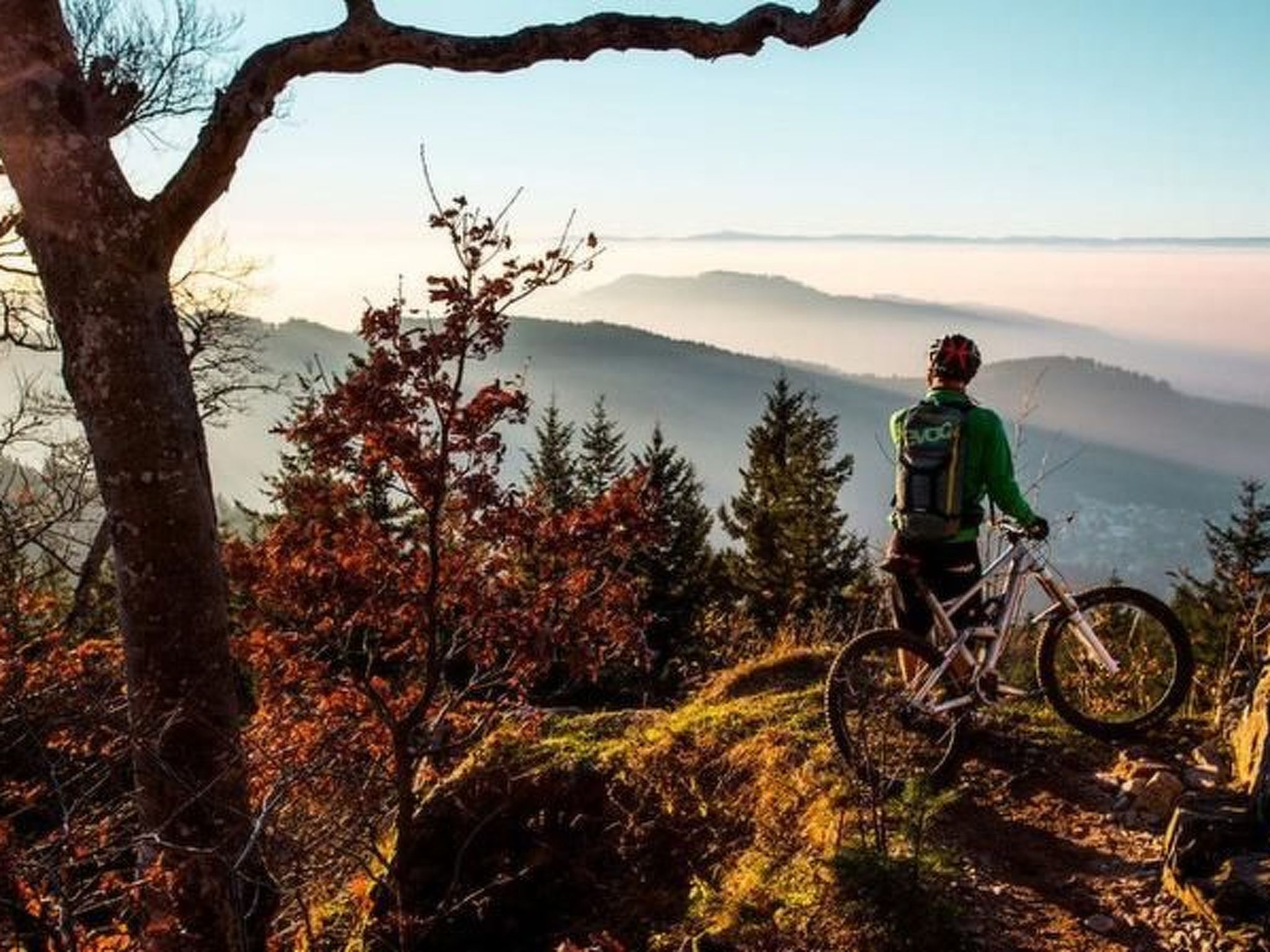 Haus mit Whirlpool, Sauna und Schwarzwaldblick-Dedans