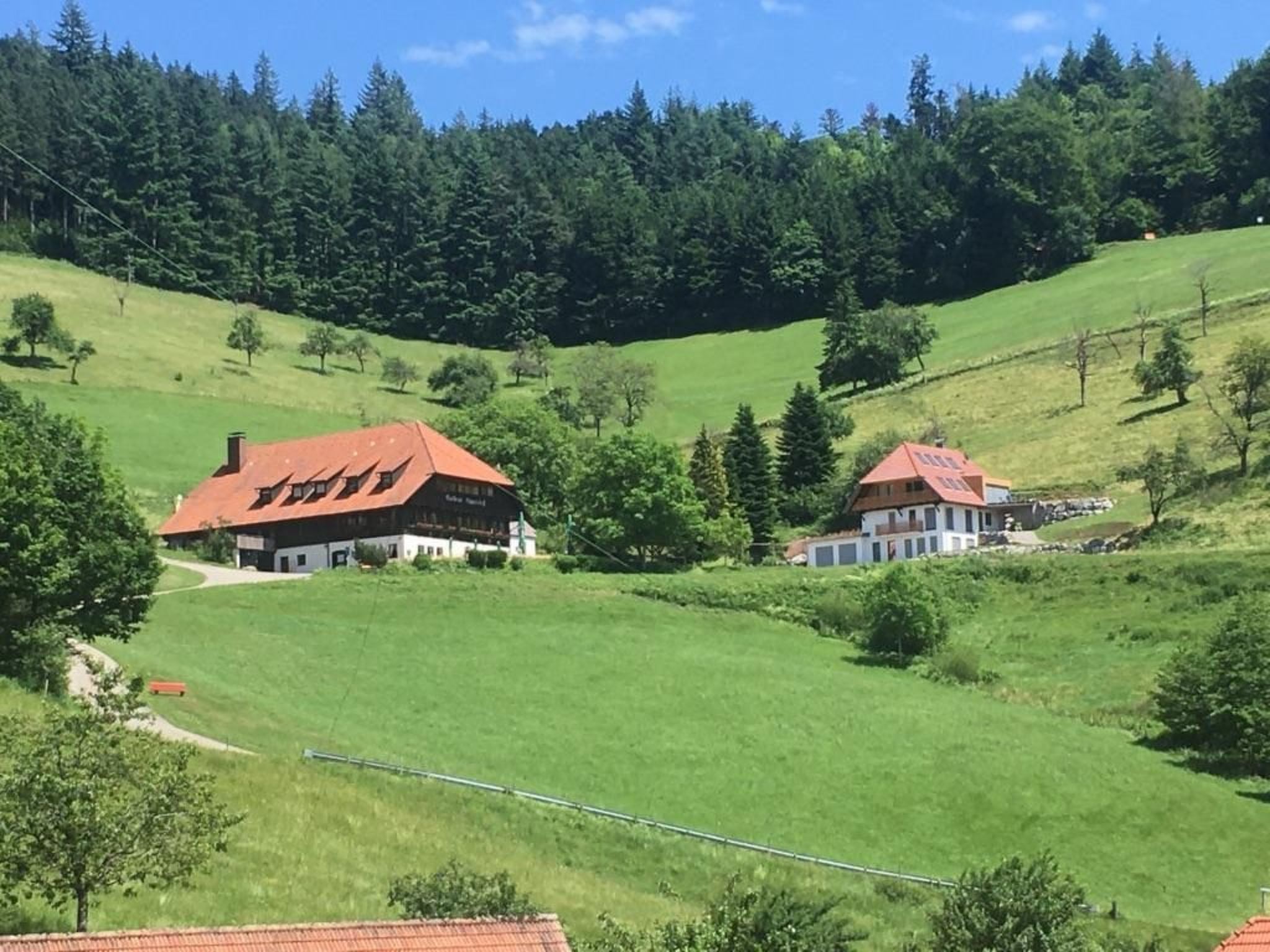 Haus mit Whirlpool, Sauna und Schwarzwaldblick