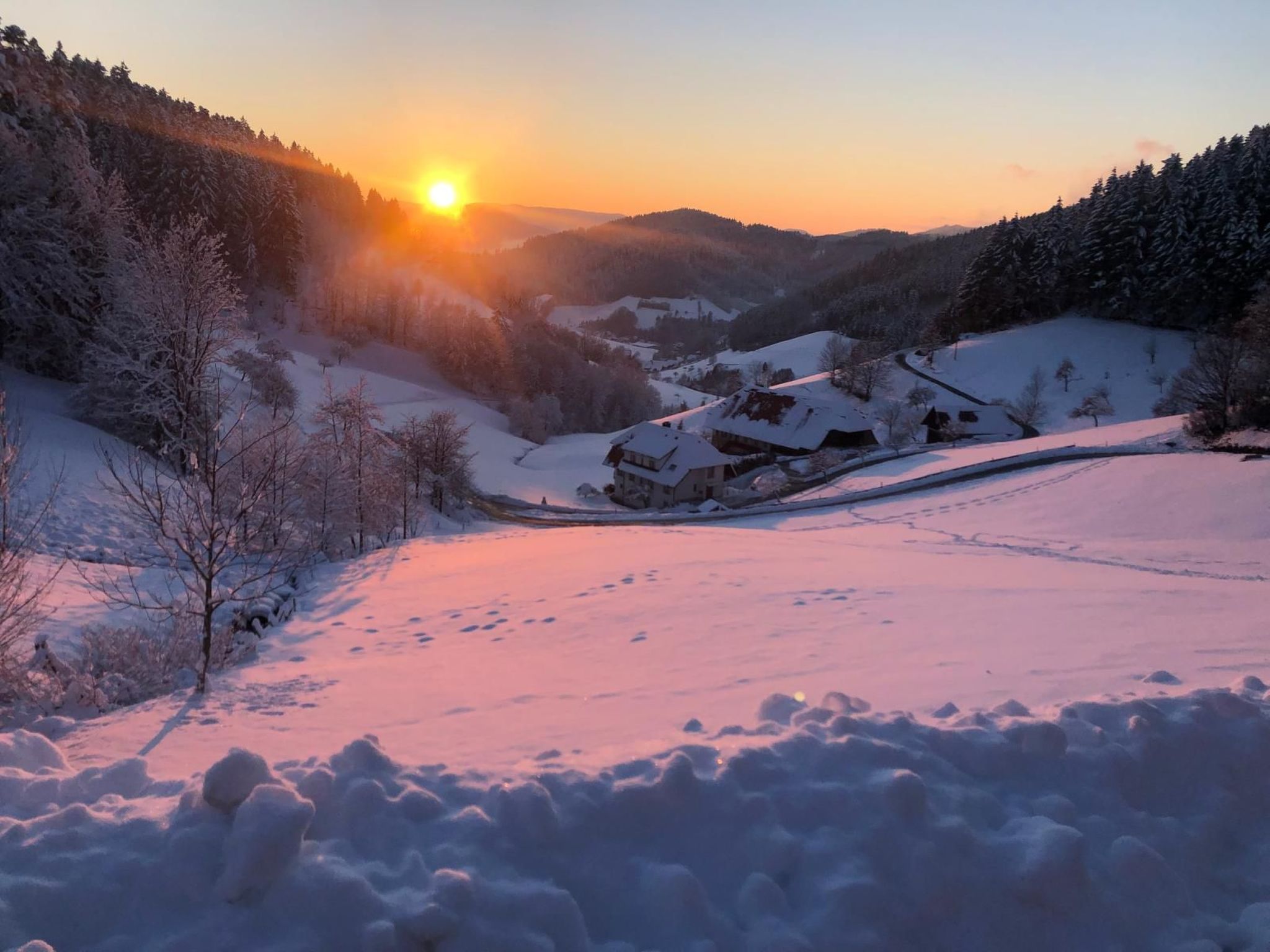 FeWo mit Whirlpool und Fass-Sauna im Schwarzwald-Dedans
