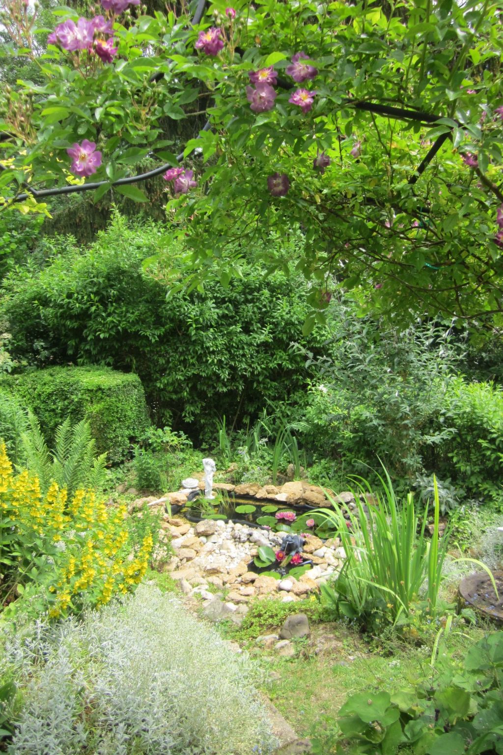 Dachgeschosswohnung mit Gartennutzung-Binnen