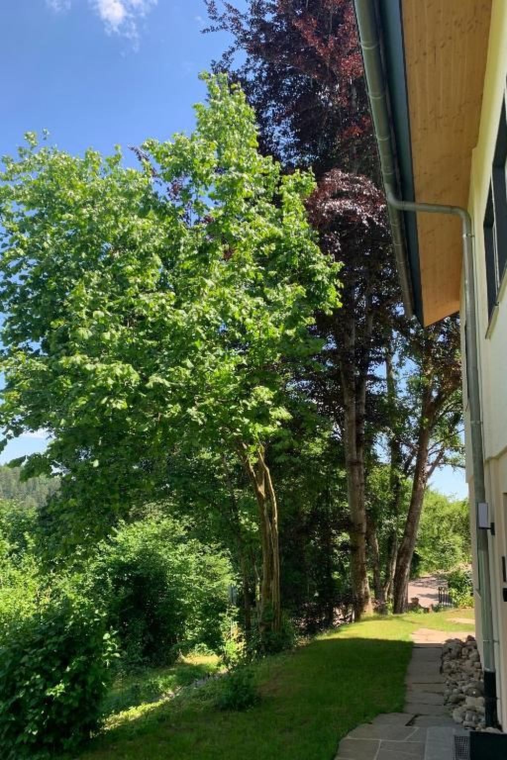 Fewo Am Sommerberg-Image-tags.info