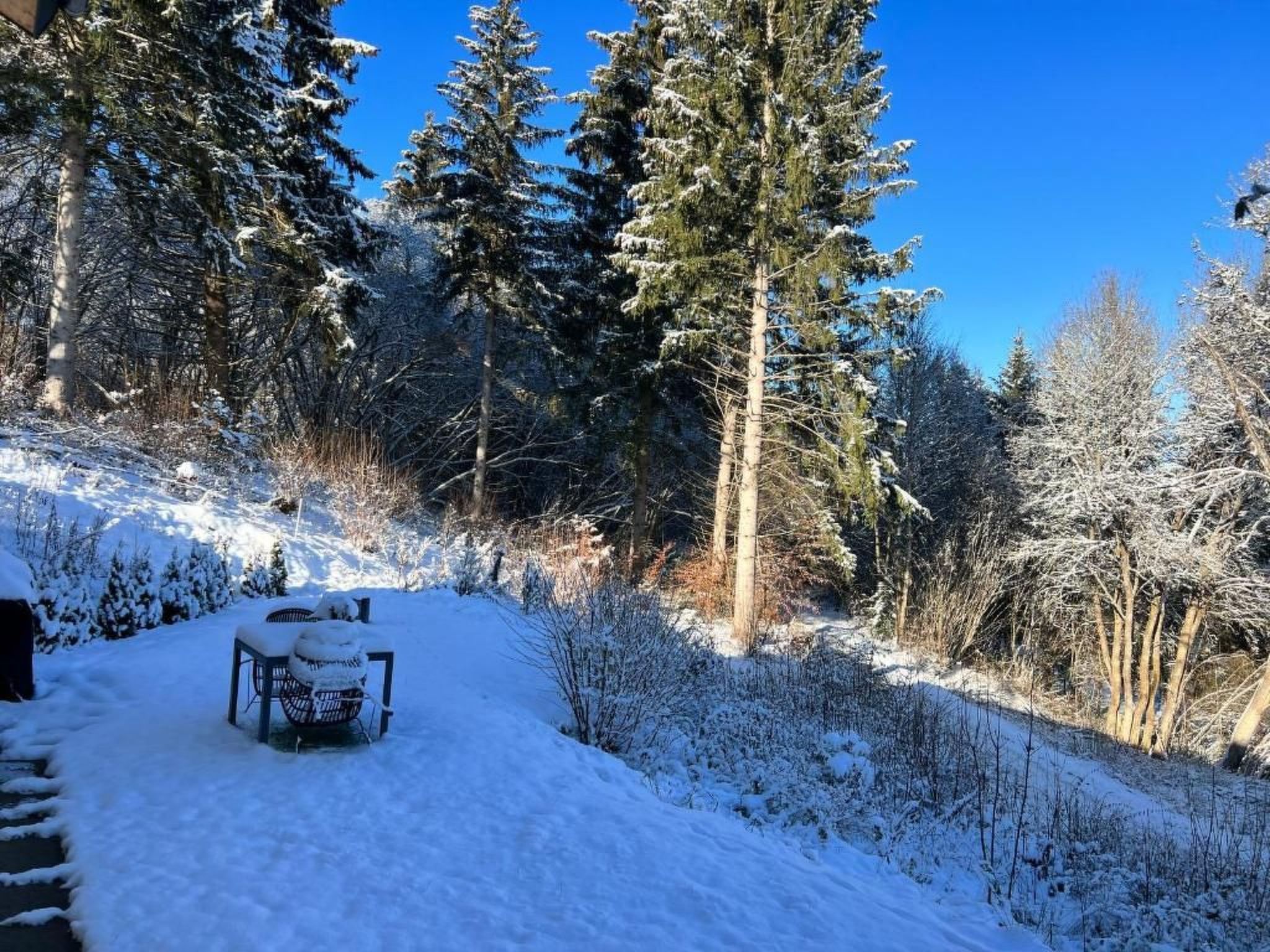 Fewo Am Sommerberg-Image-tags.info